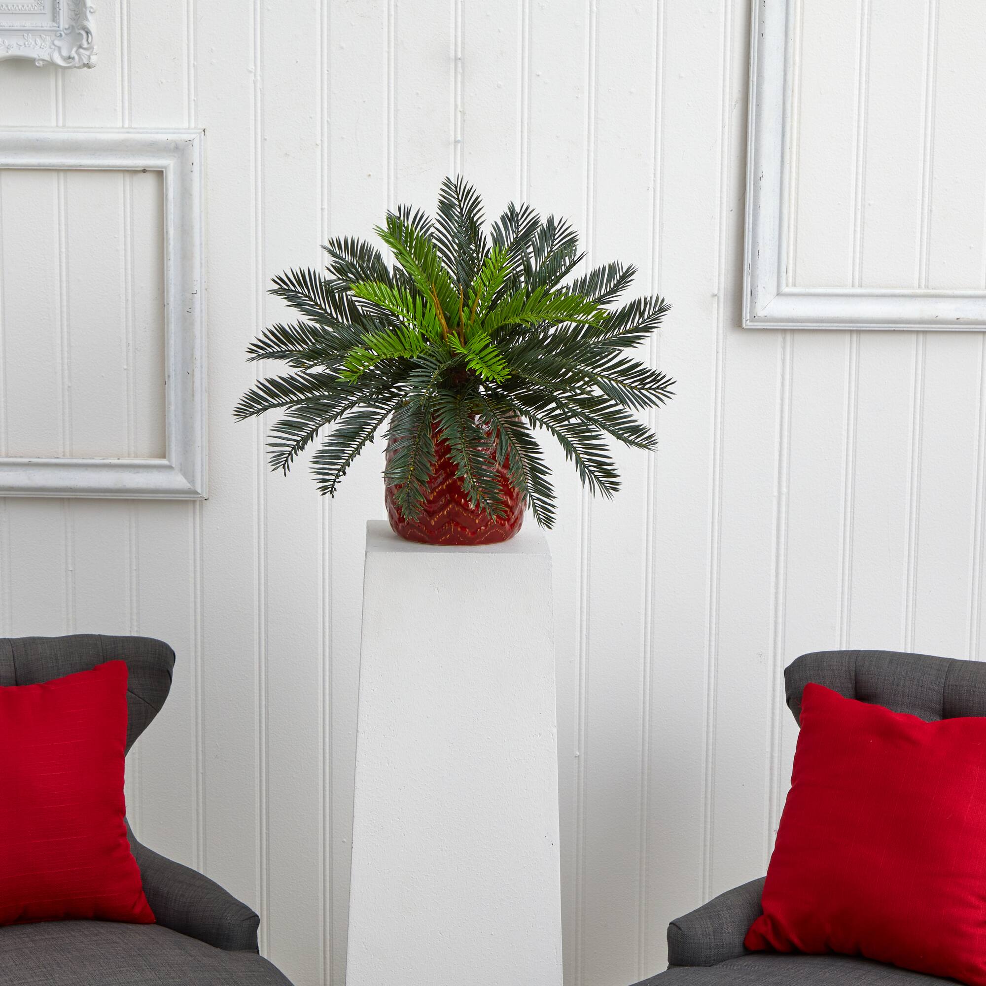15&#x27;&#x27; Cycas Palm in Red Ceramic Planter