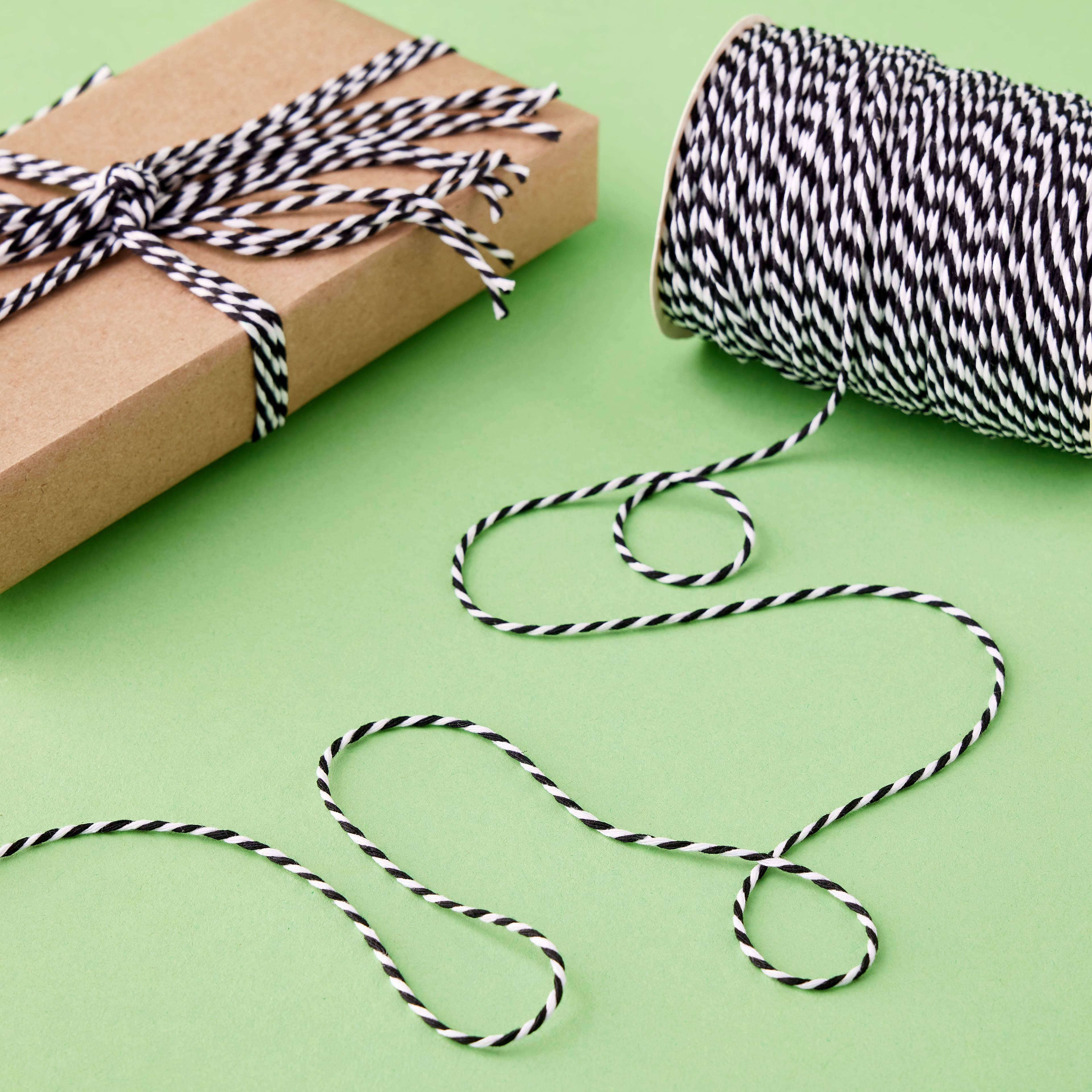 100yd. Twine by Celebrate It&#x2122;