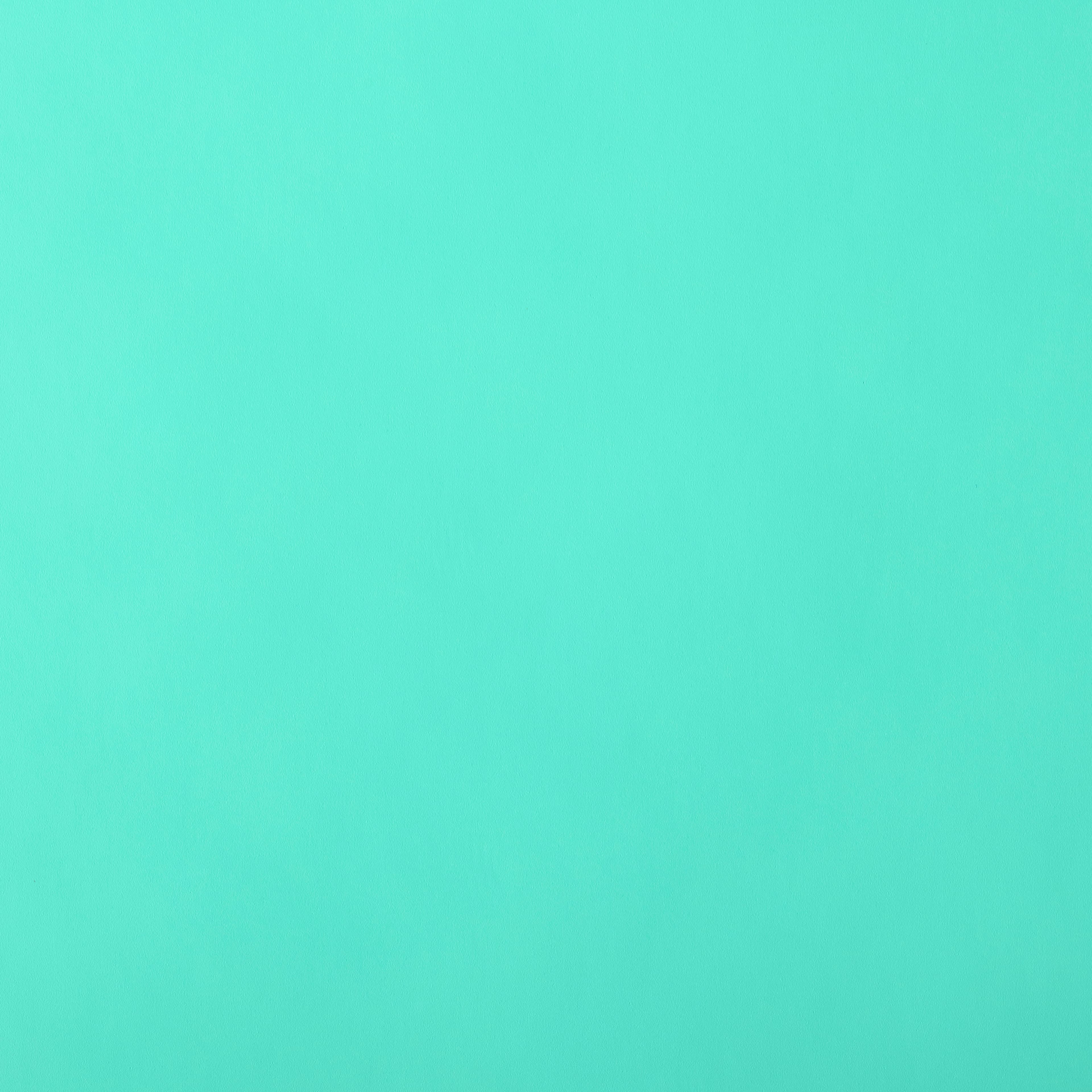 ORACAL&#xAE; 631 Removable Vinyl