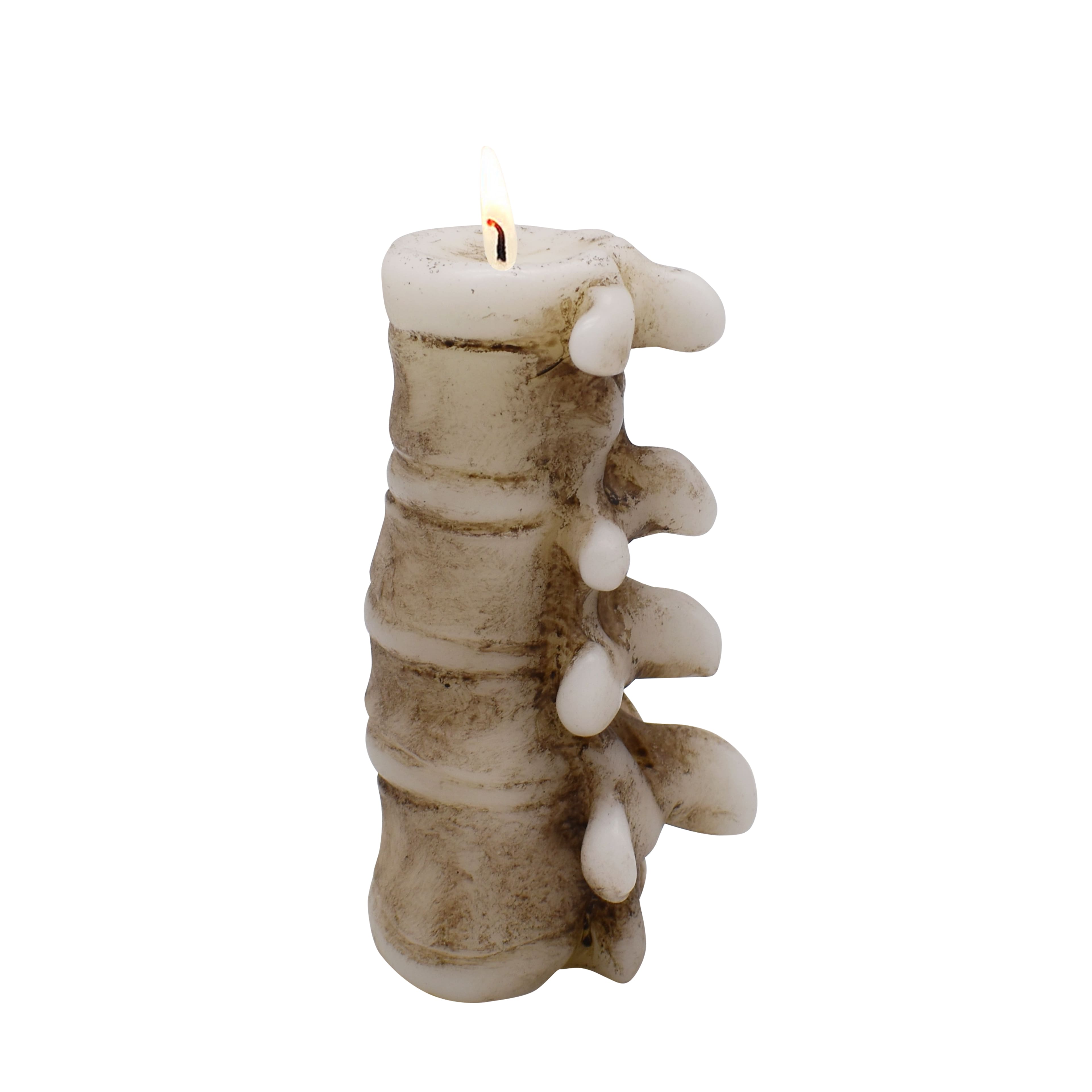 6&#x22; Spine Shaped Candle by Ashland&#xAE;