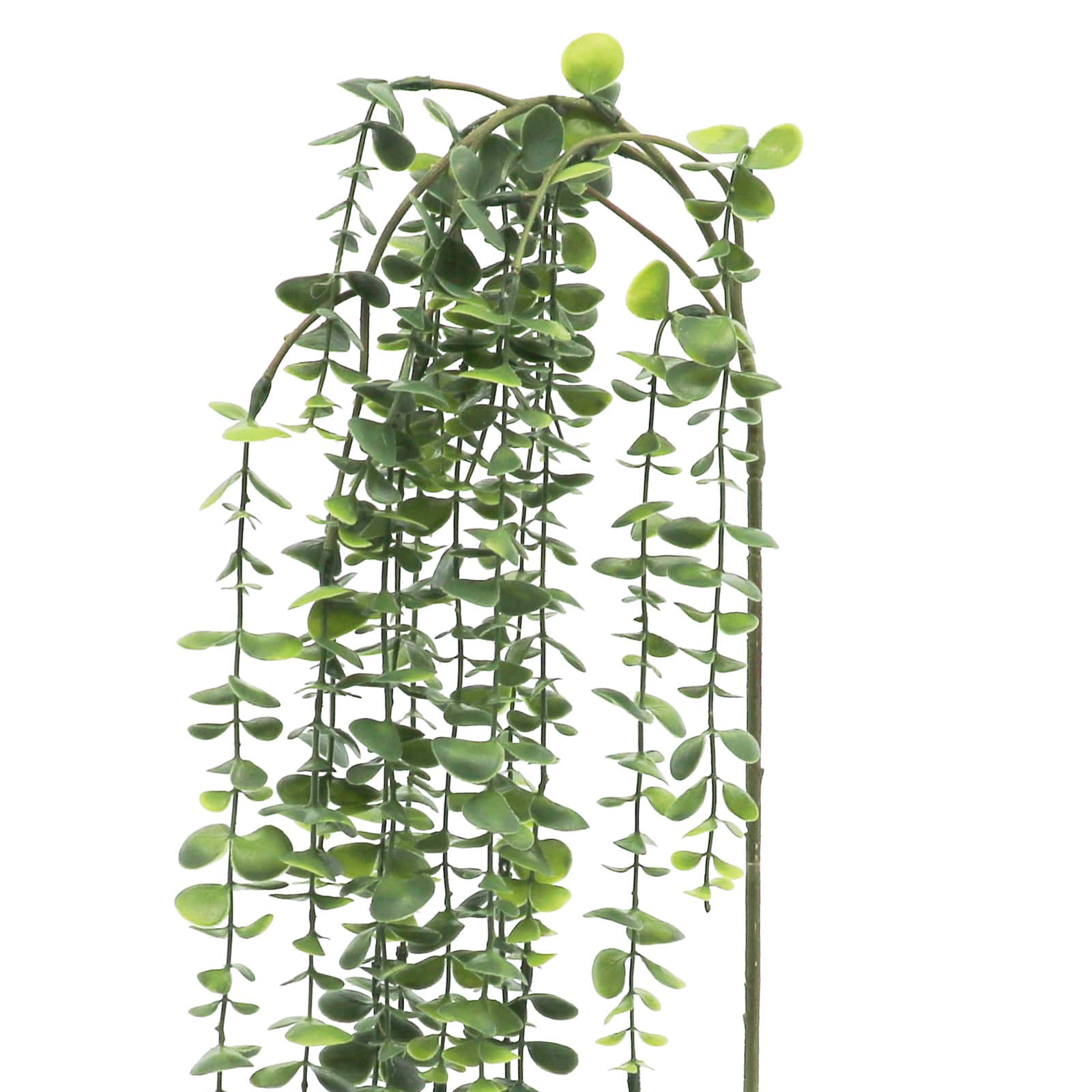 25&#x22; Green Hanging Eucalyptus Stem by Ashland&#xAE;
