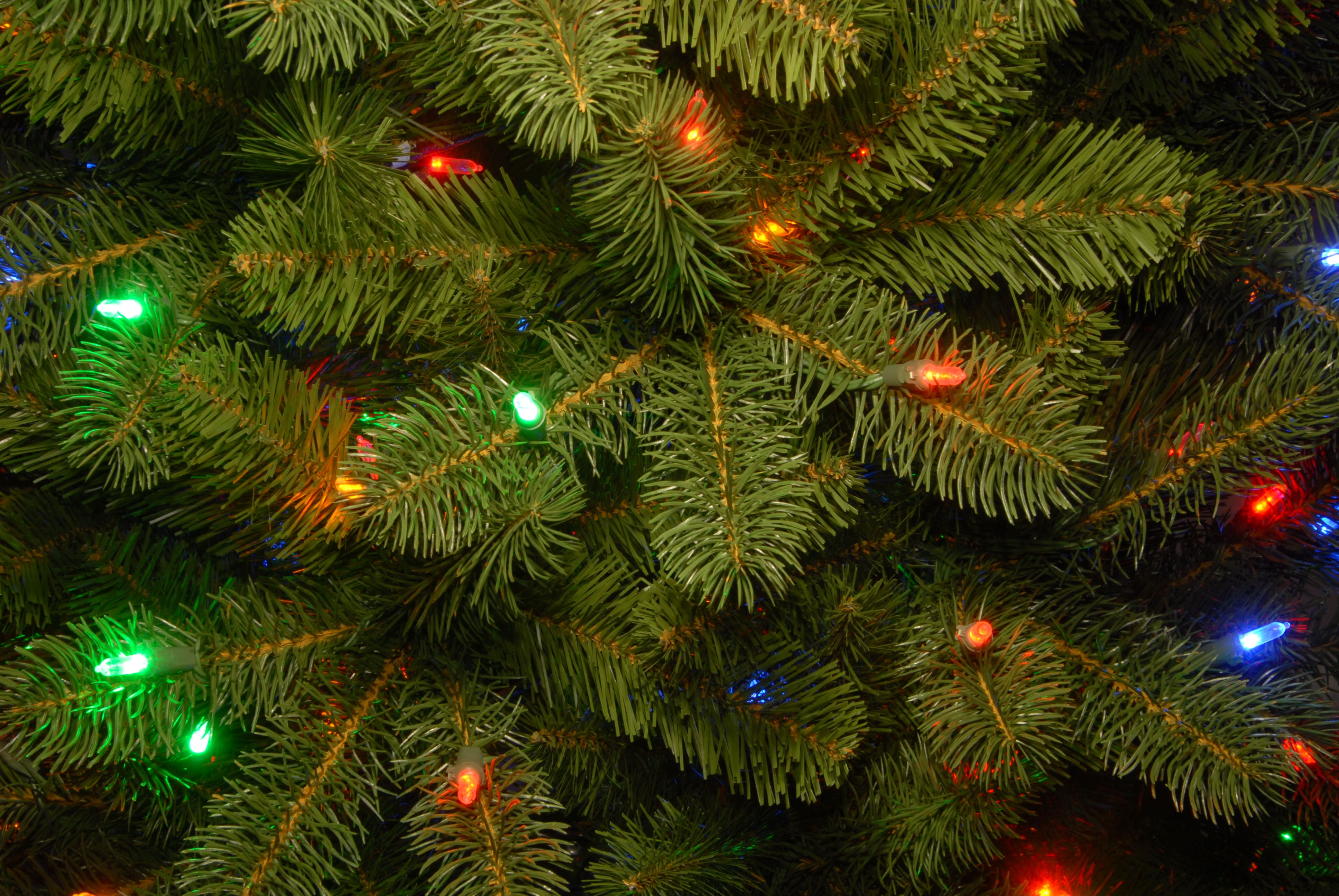 10ft. Pre-Lit Downswept Douglas&#xAE; Fir Tree, Dual Color LED Lights