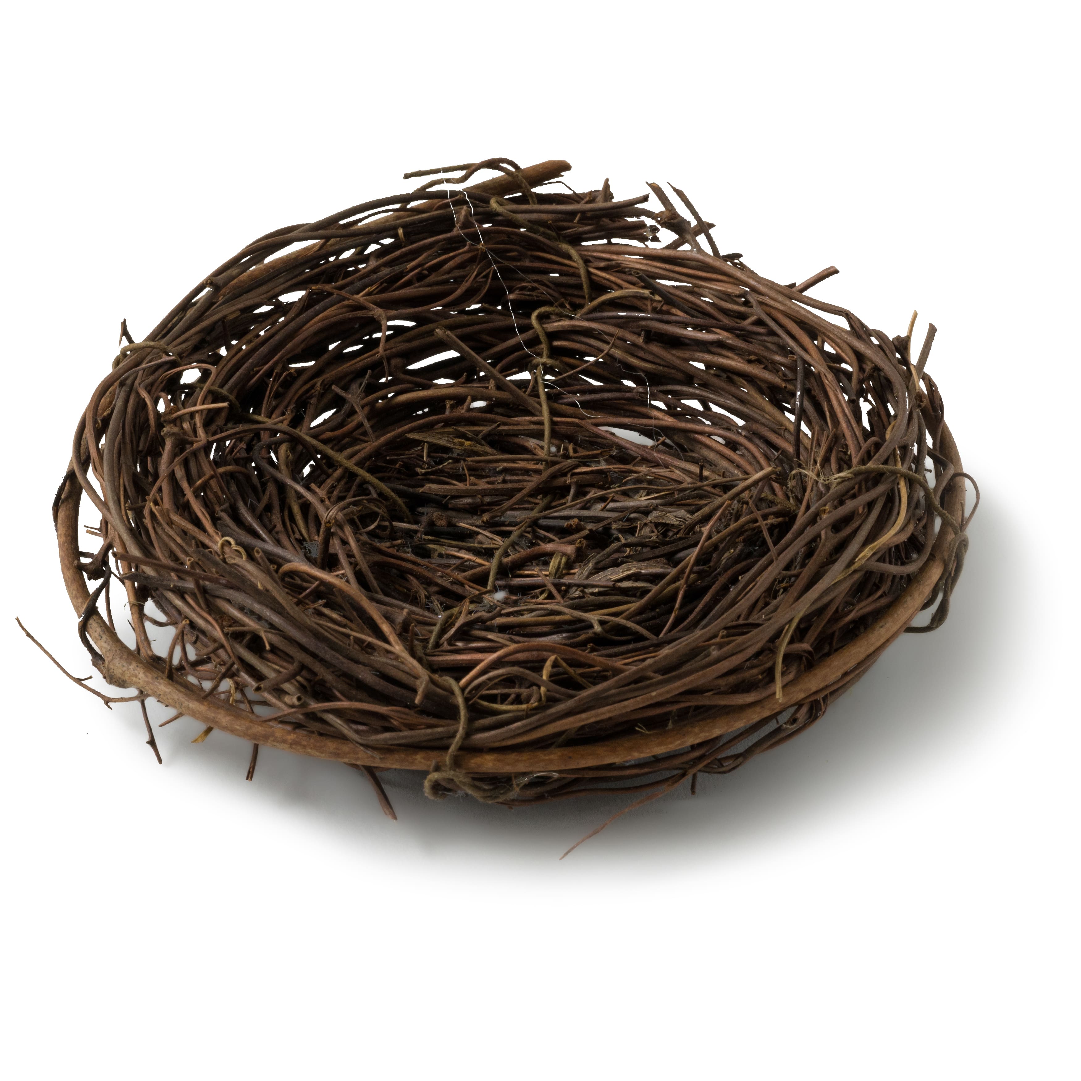 Round Nest by Ashland&#xAE;