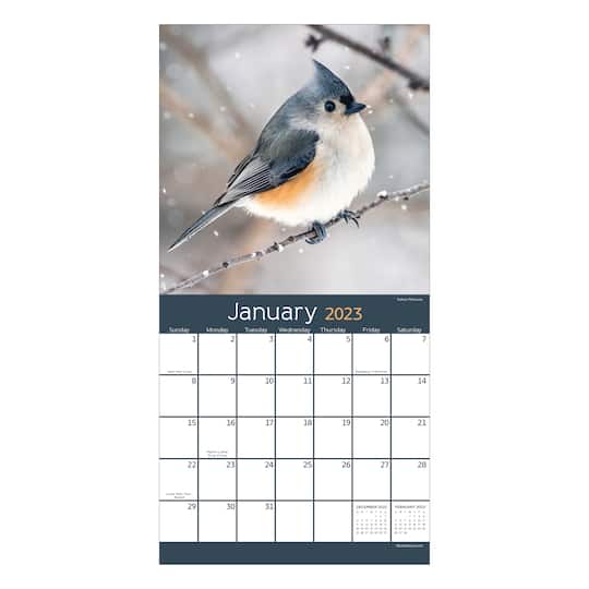 TF Publishing 2023 Backyard Birds Mini Calendar | Michaels