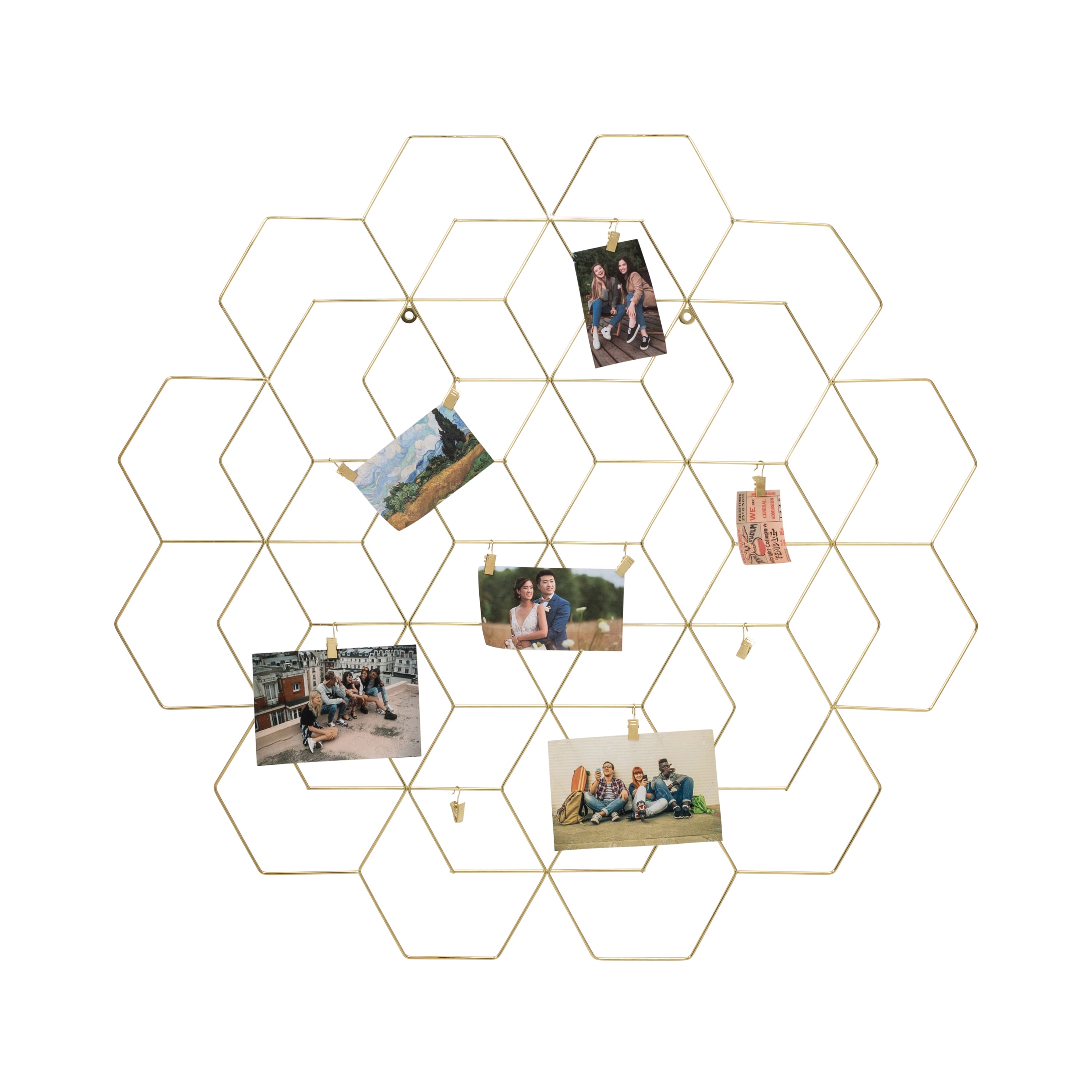 Honey Can Do Gold Hanging Photo Display Holder with Clips