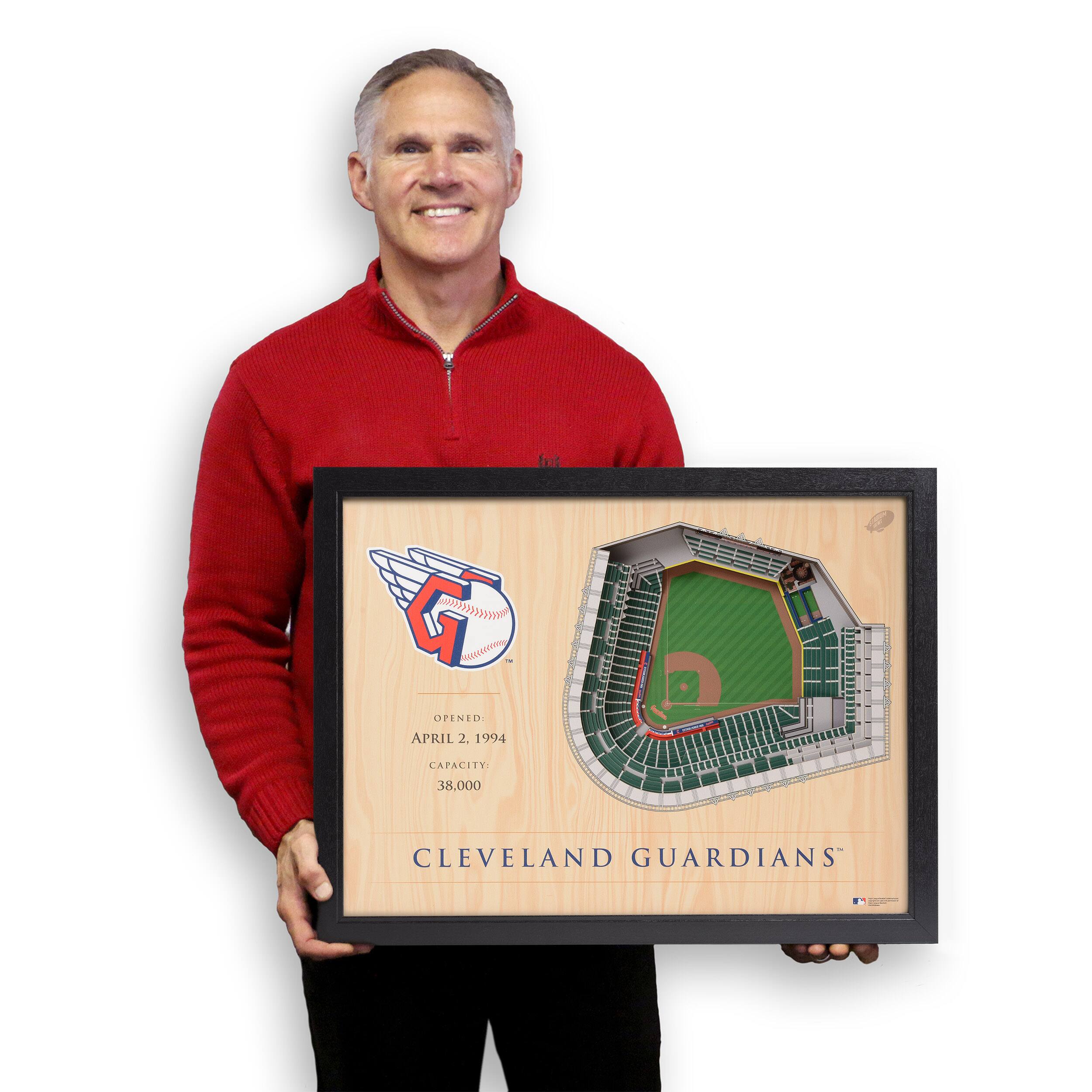 MLB 25-Layer StadiumView Wall Art