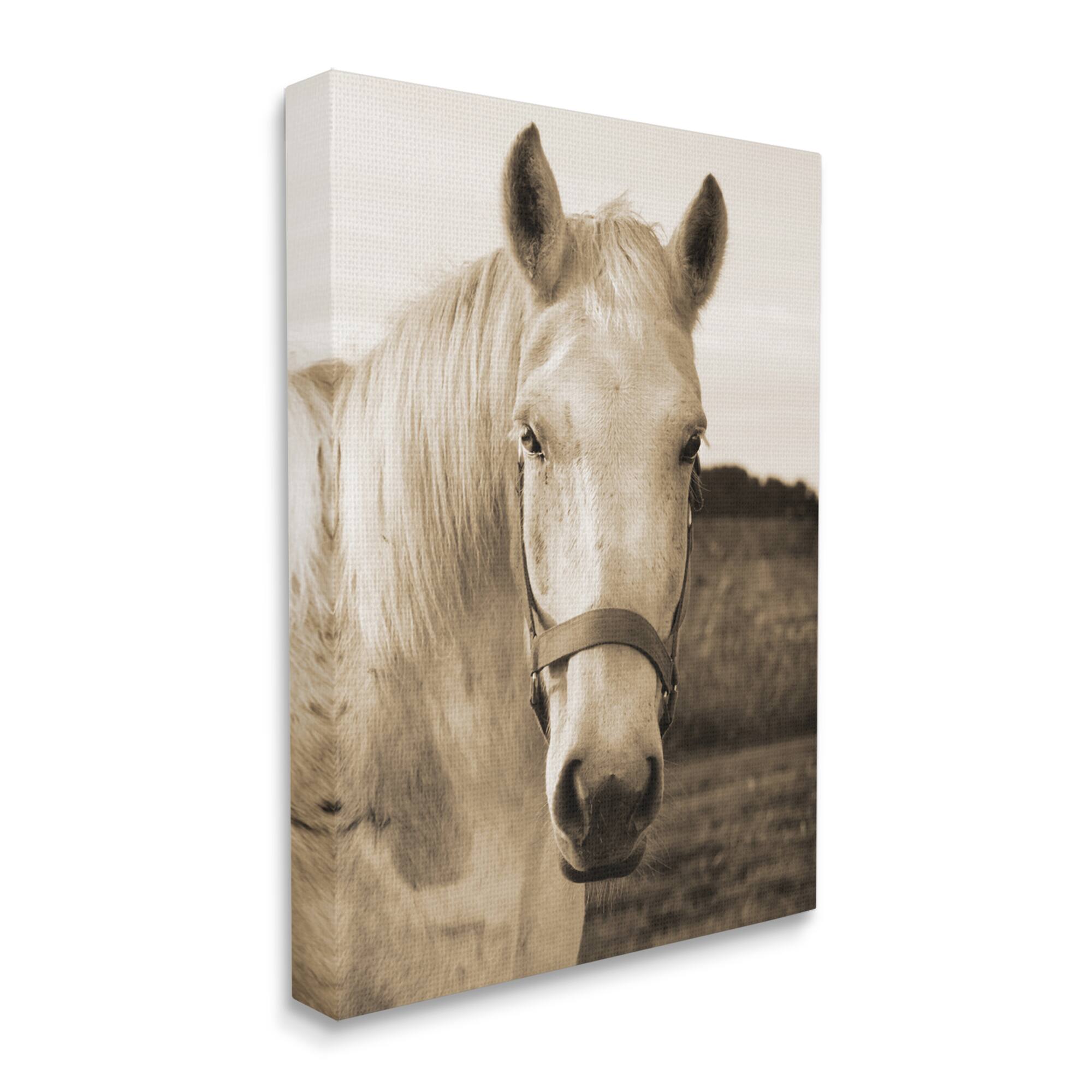 Stupell Industries Rustic Sepia tone Portrait of White Horse Canvas Wall Art