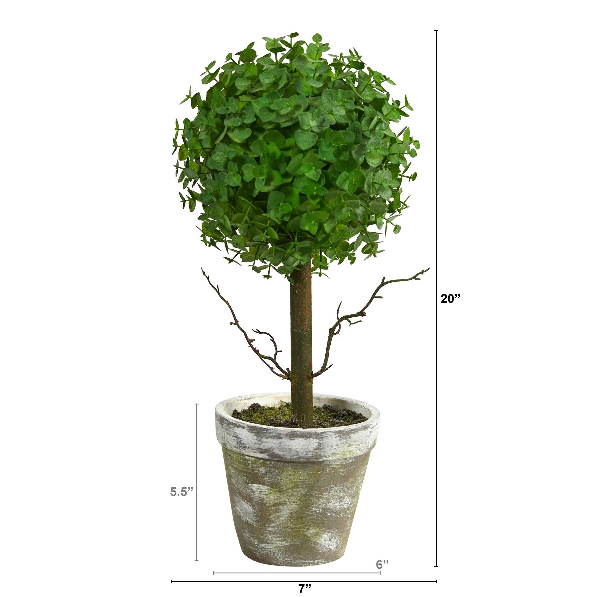 20" Potted Eucalyptus Single Ball Topiary Tree