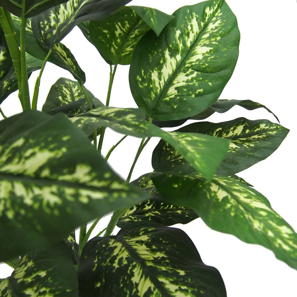 3ft. Green &#x26; White Diffenbachia Plant