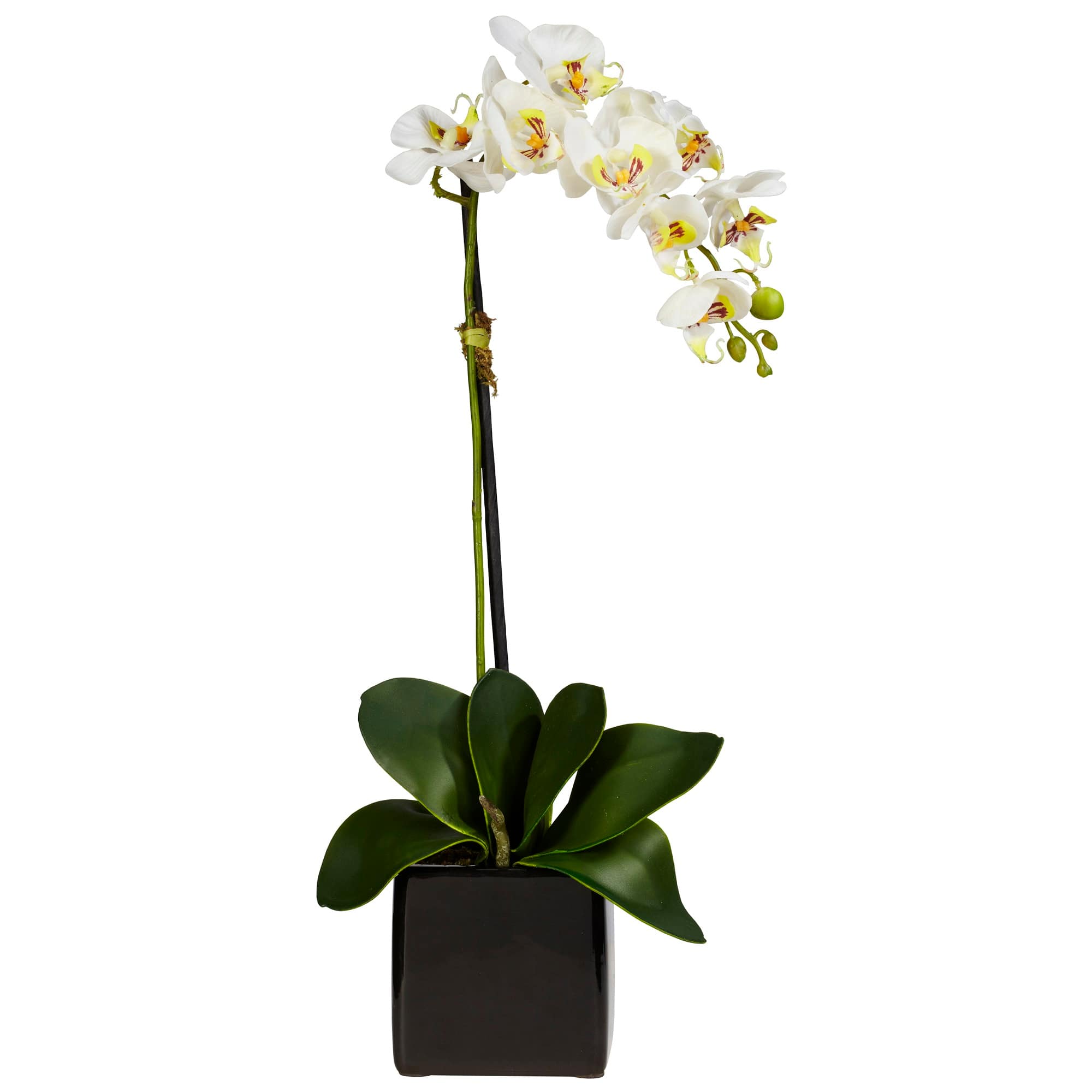 20&#x22; Orchid Artificial Arrangement in Black Planter