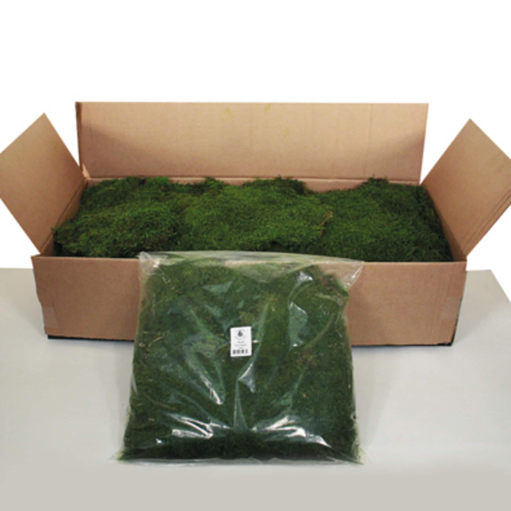 Preserved Green Sheet Moss Bulk Case