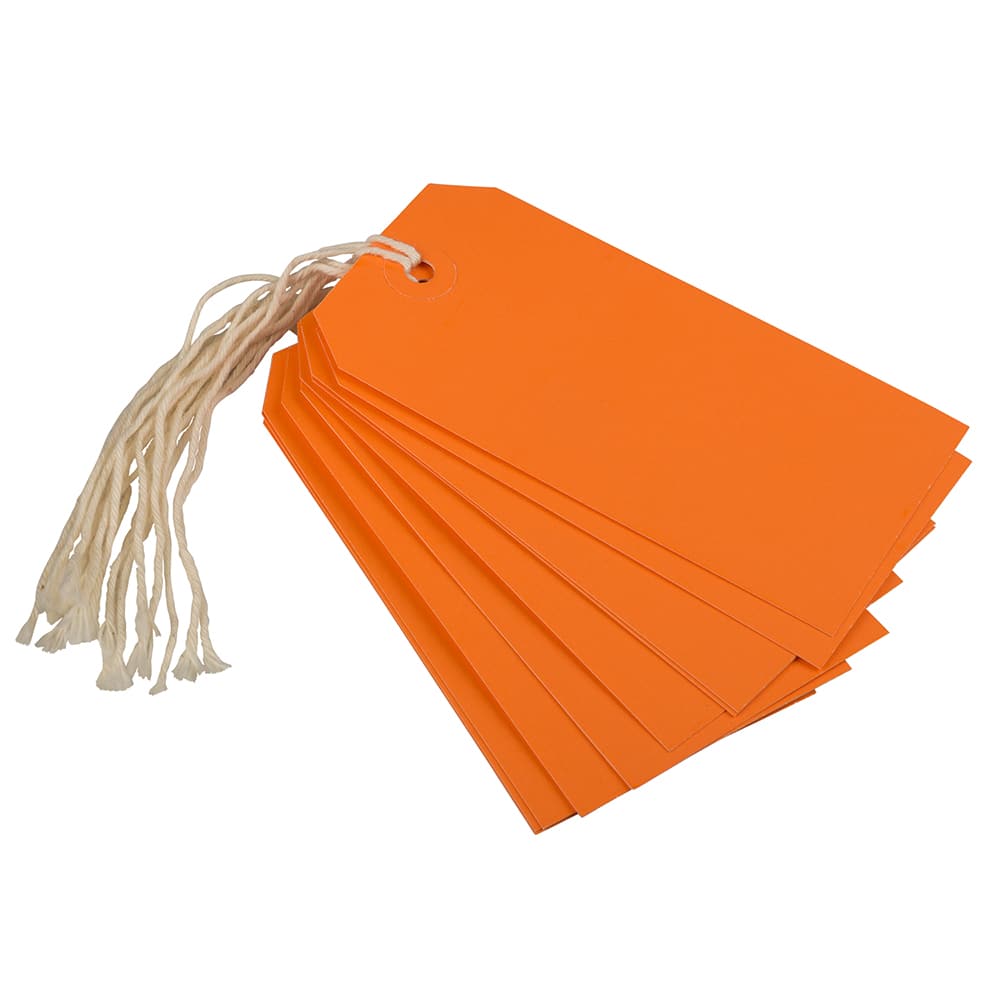 JAM Paper Medium Gift Tags with String