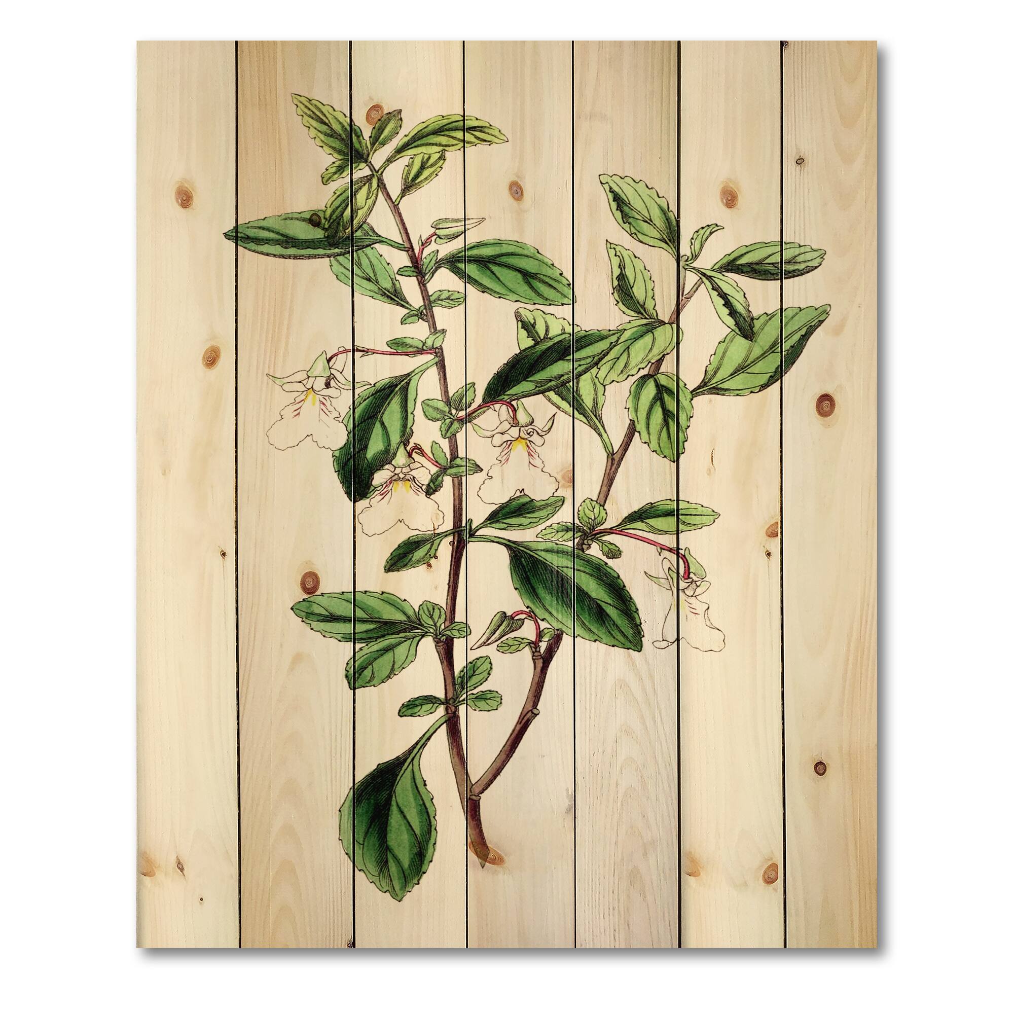 Designart - Vintage Green Leaves Plants VII - Traditional Print on Natural Pine Wood