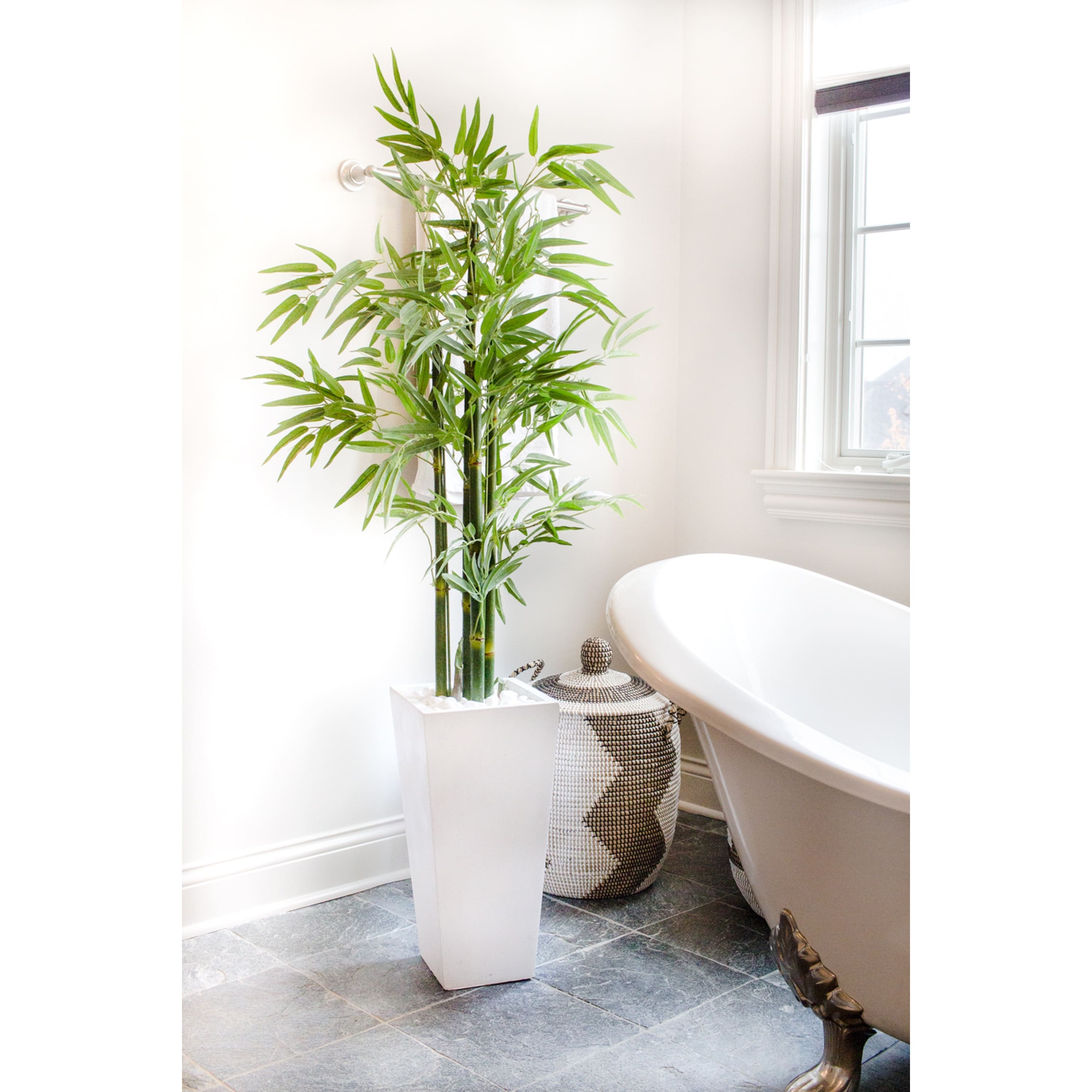 5ft. UV Resistant Bamboo Tree in White Planter