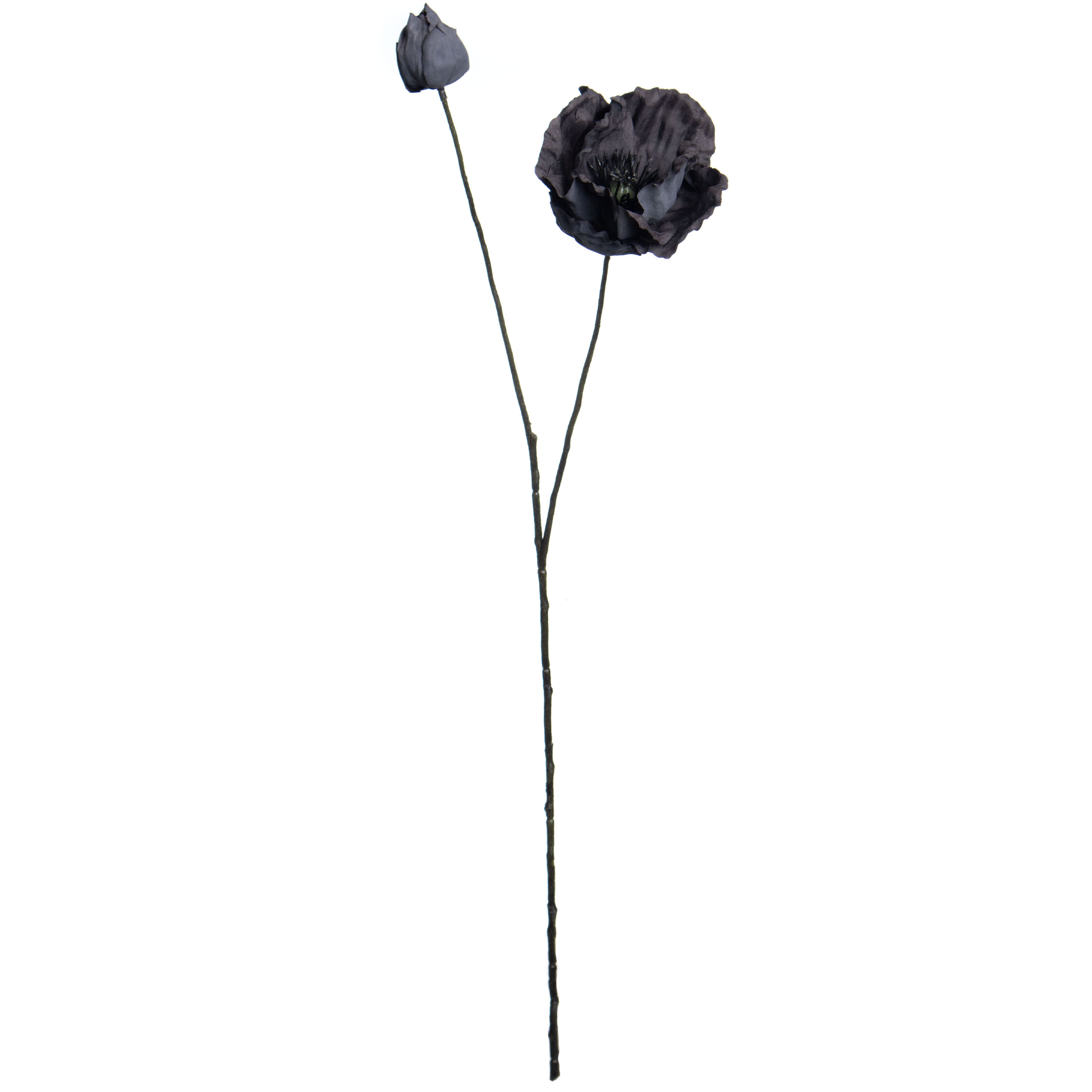 2ft. Black Poppy Stem by Ashland&#xAE;