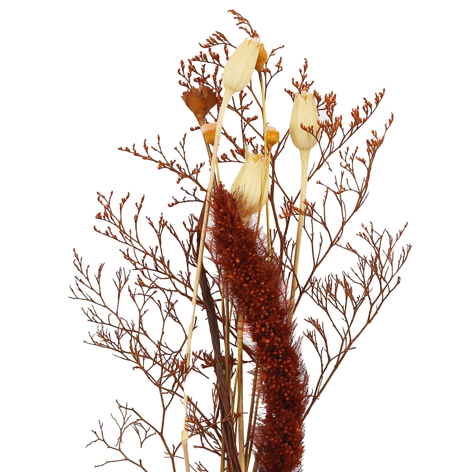 11" Rust Natural Dried Botanical Bundle by Ashland®