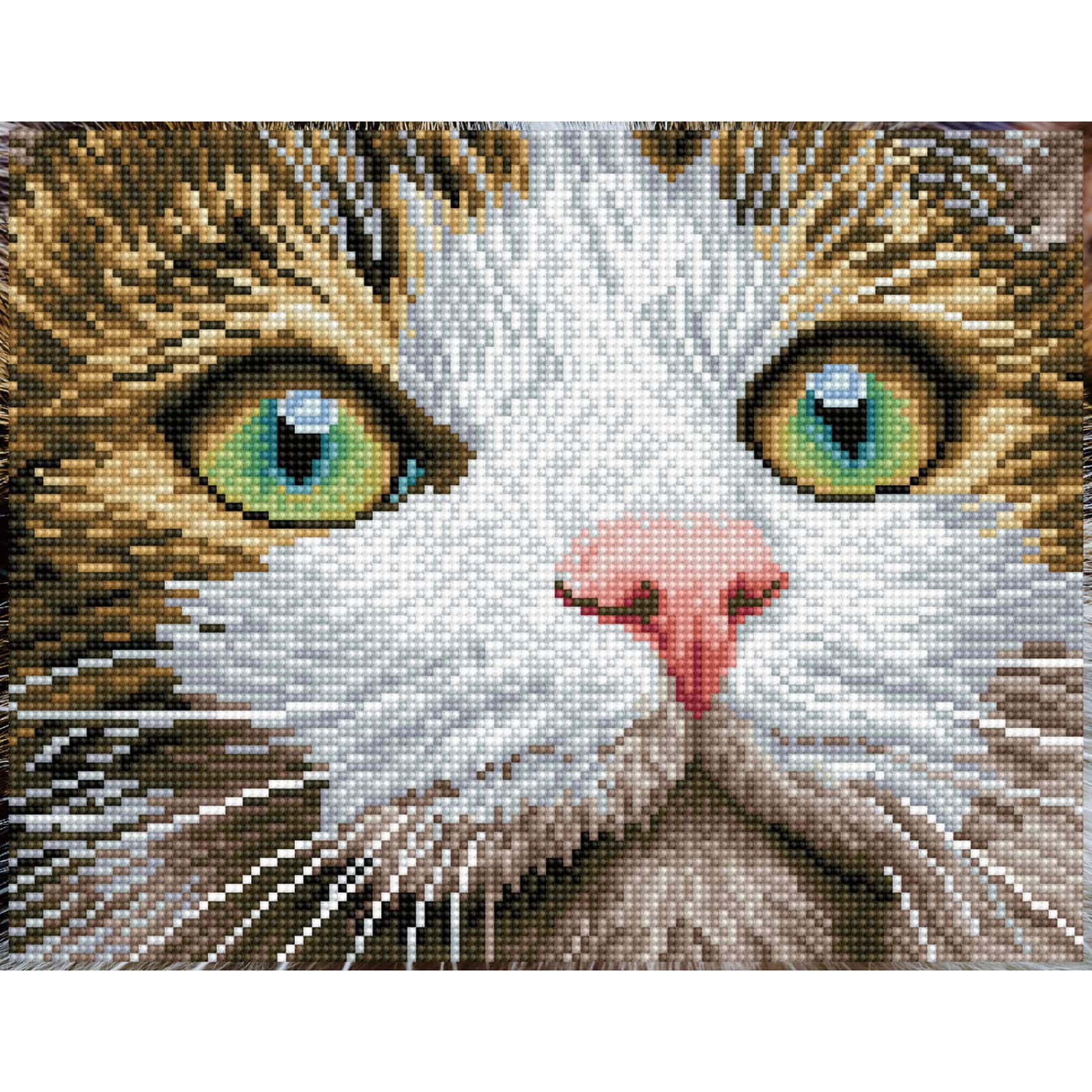 Diamond Dotz® Intermediate Green Eyed Beauty with Frame Diamond Painting Kit