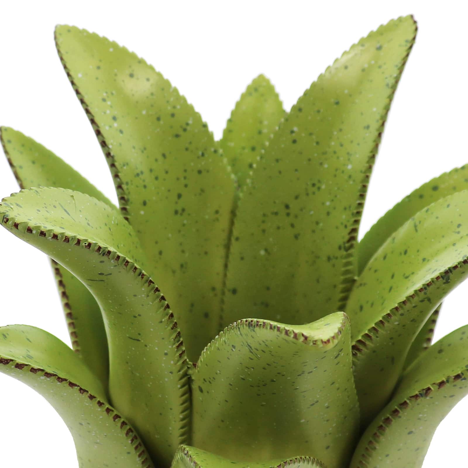 7&#x22; Green Aloe Decorative Container by Ashland&#xAE;