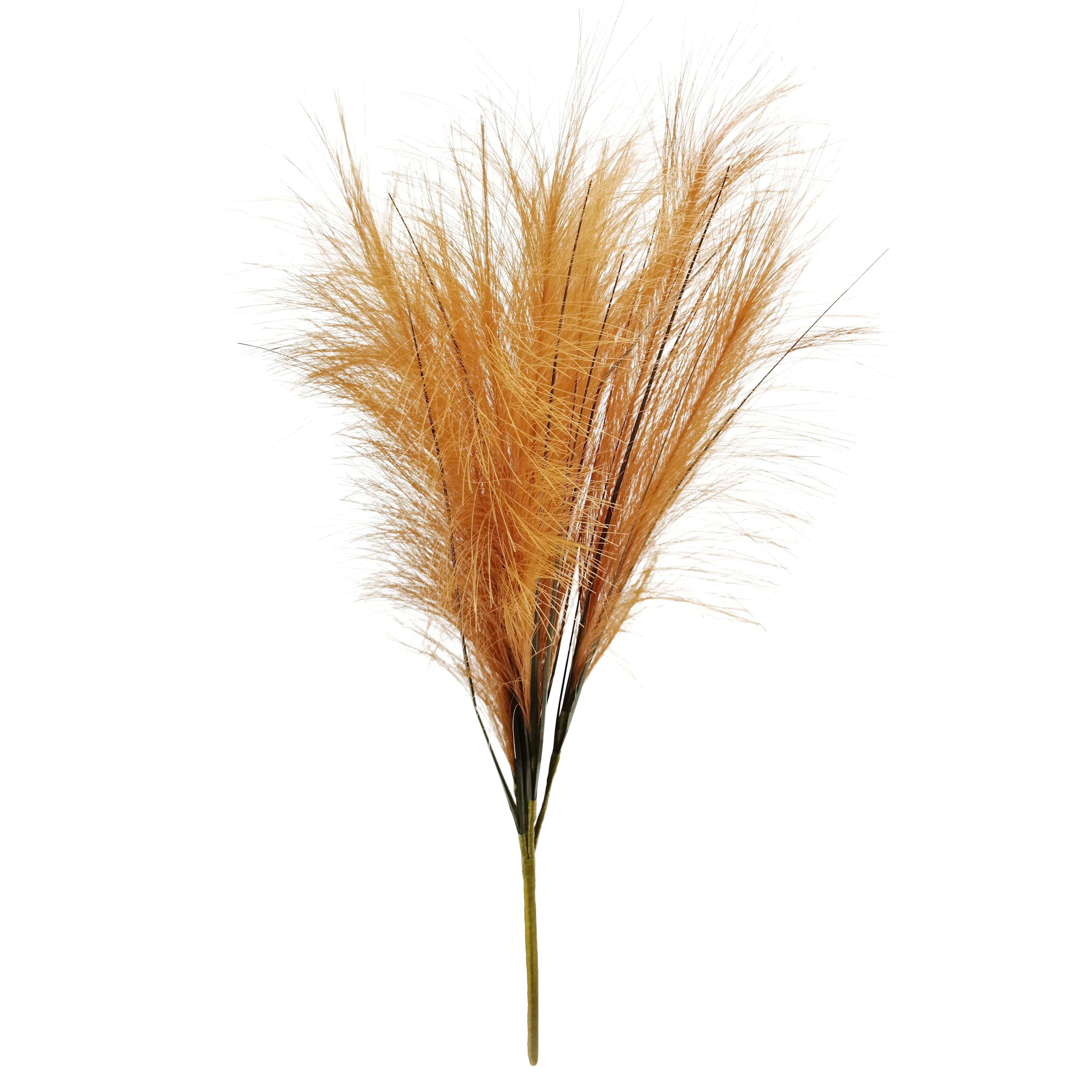 24&#x22; Pampas Grass Bush by Ashland&#xAE;