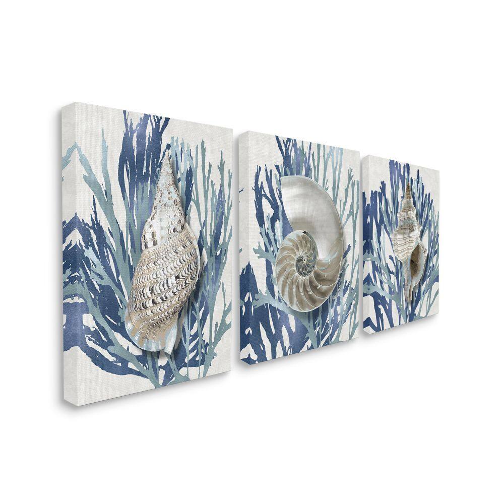 Stupell Industries Trio of Shell Coral Blue Beach Design Canvas Wall Art