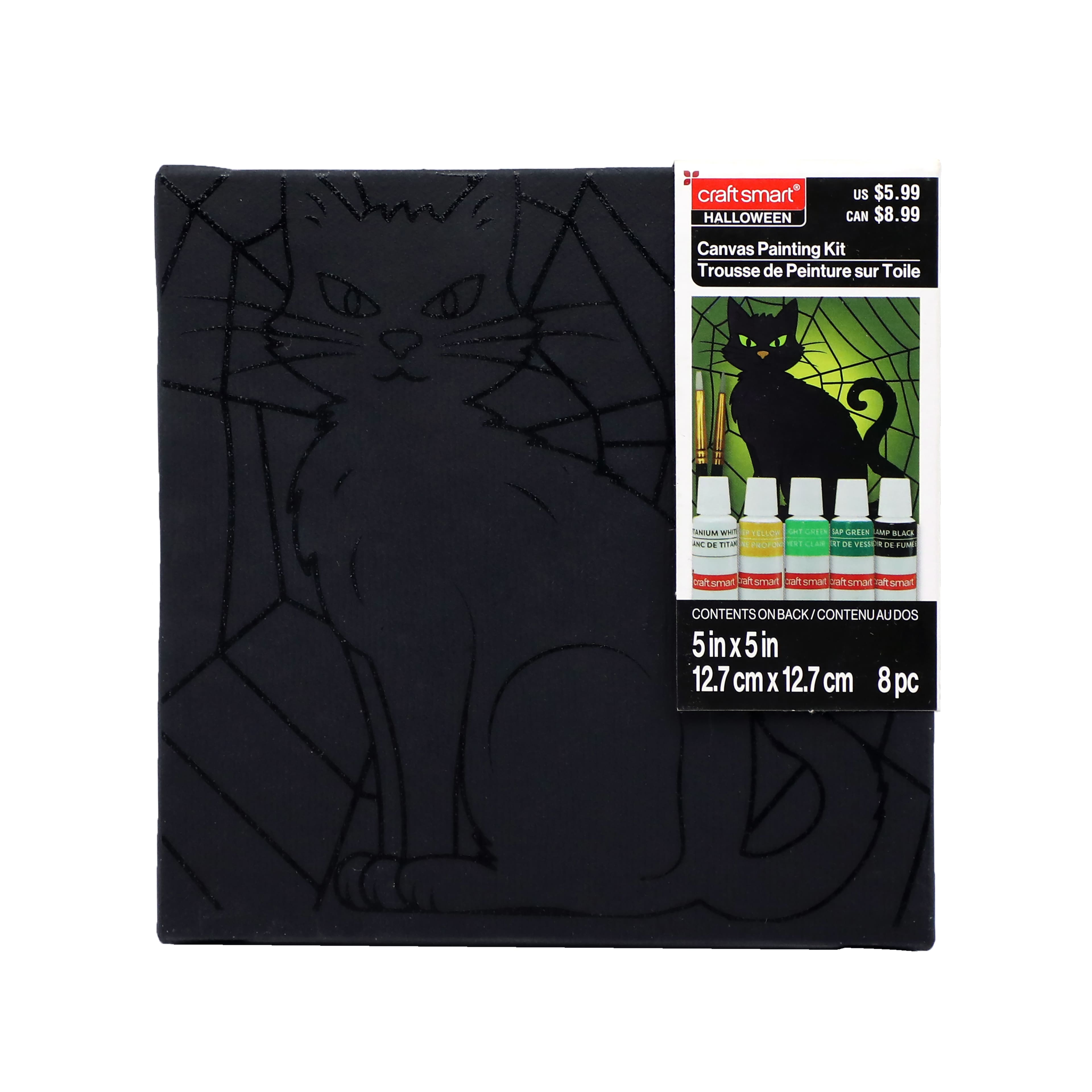 5" x 5" Cat in Web Canvas Painting Kit by Craft Smart®