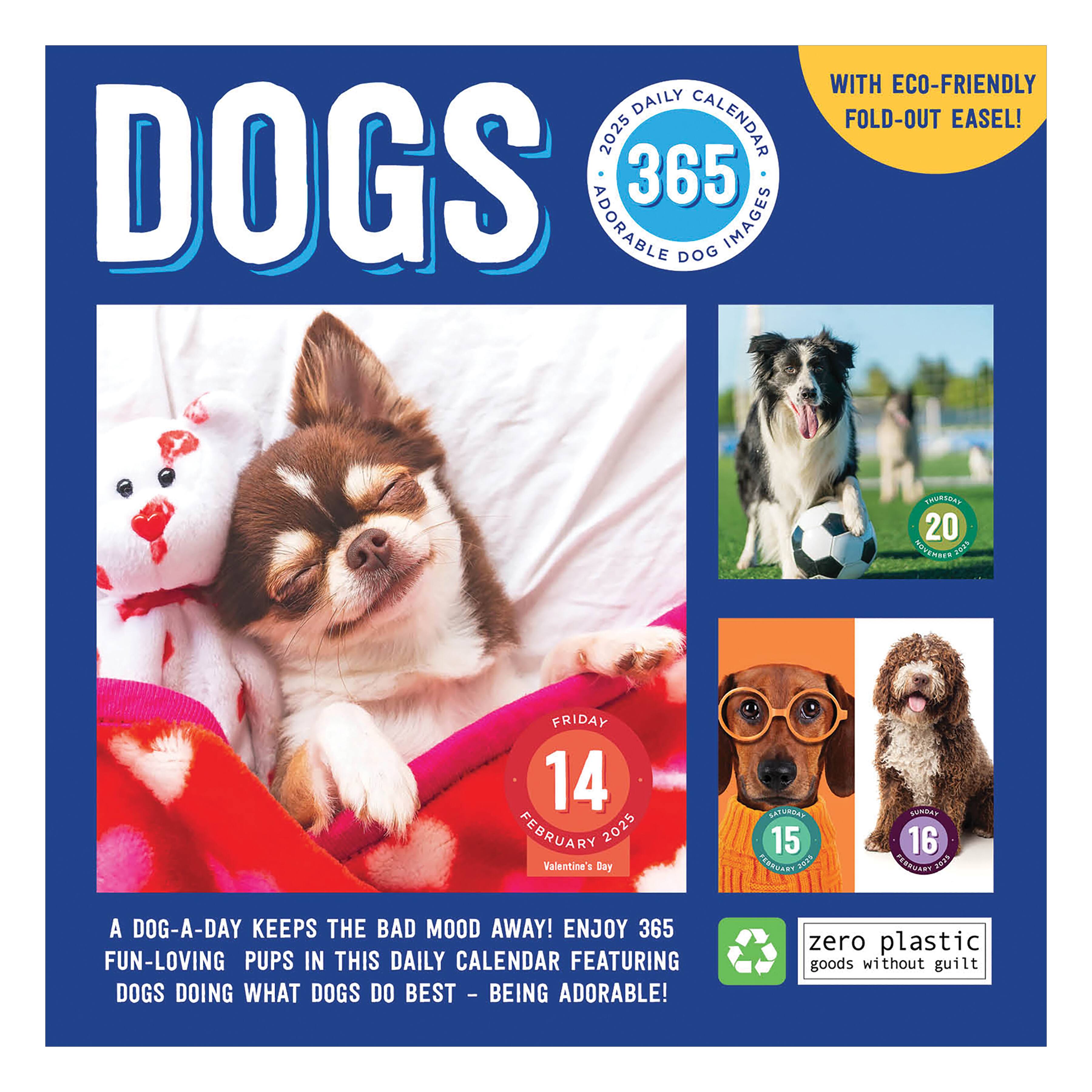 TF Publishing 2025 Dog A Day Daily Desktop Calendar