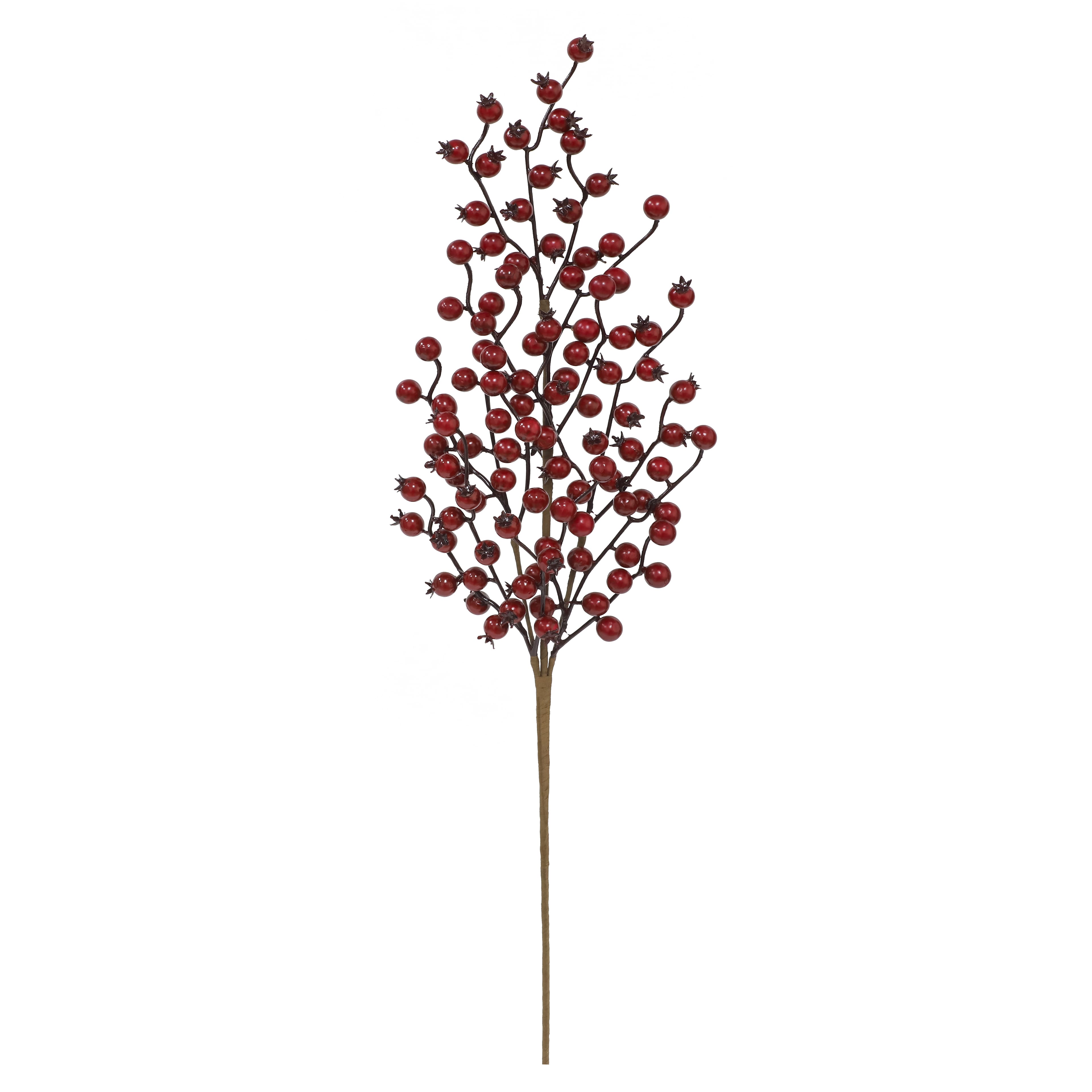 30&#x22; Red Berry Stem by Ashland&#xAE;