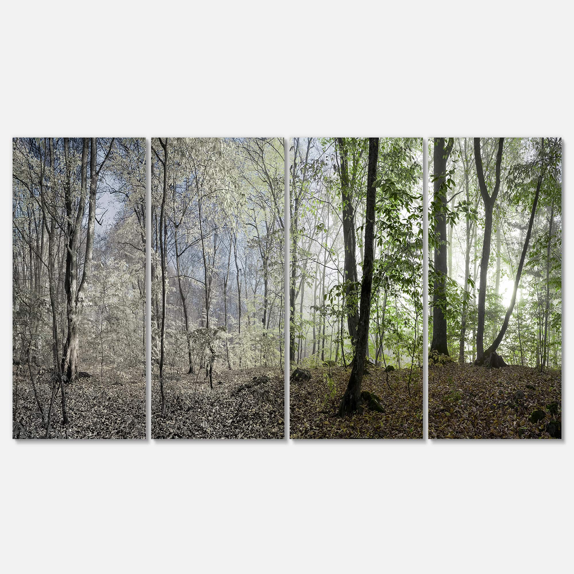 Designart - Green Morning in Forest Panorama - Landscape Canvas Art Print