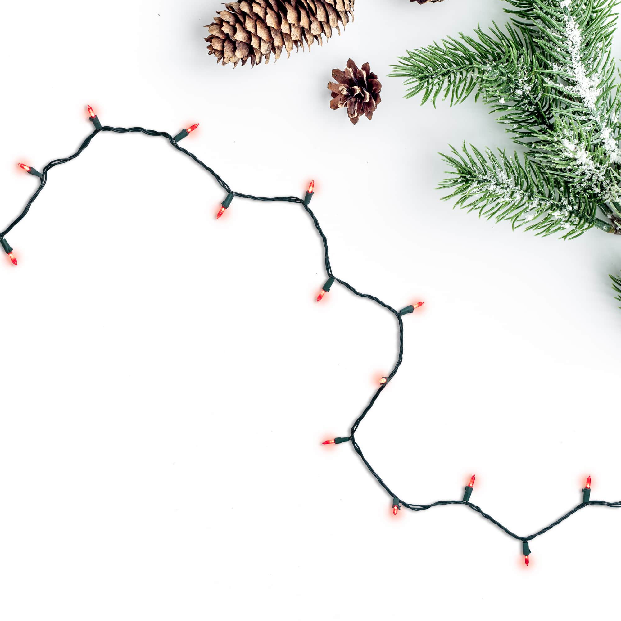 100ct. LED Mini Christmas Lights With Green Wire