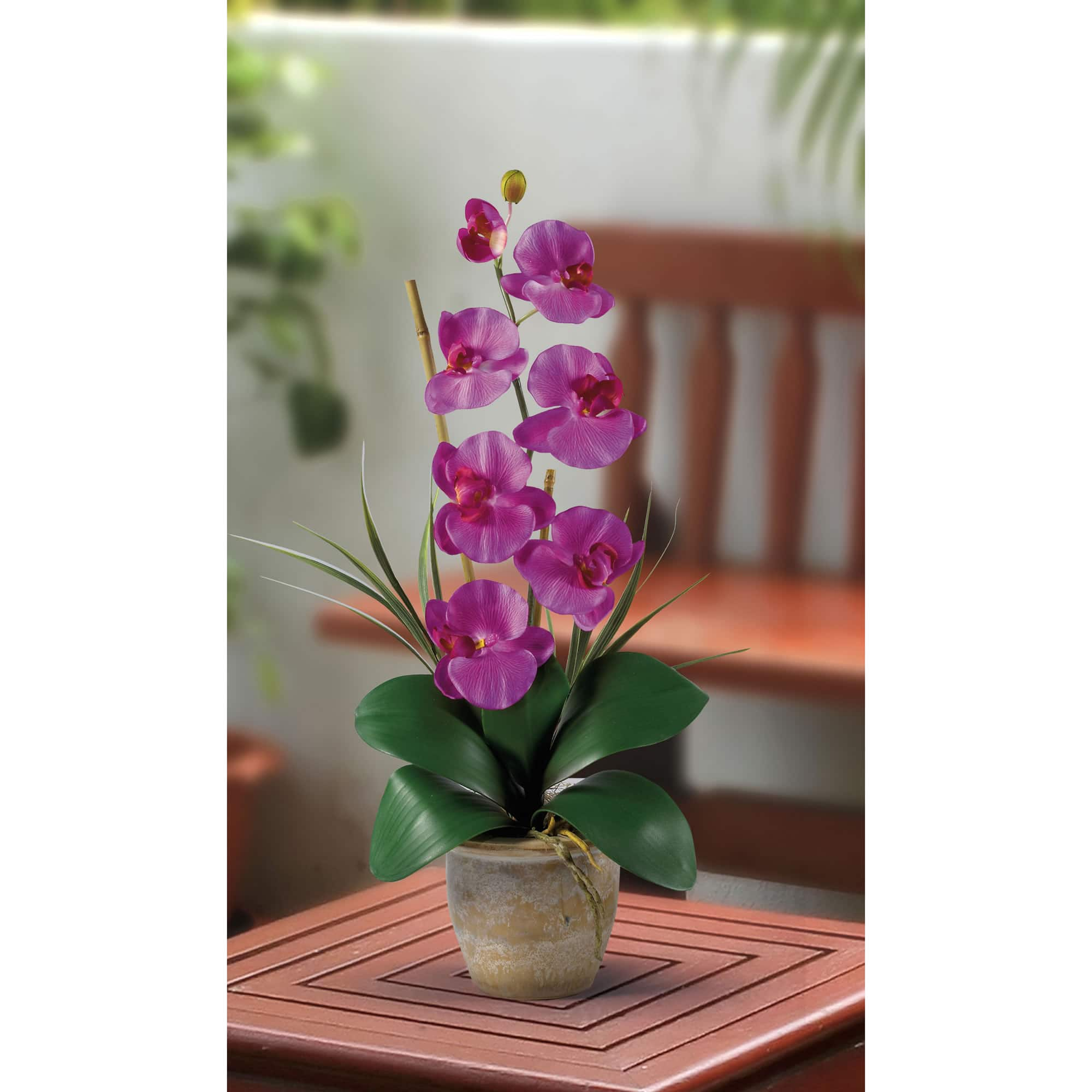 21&#x22; Moth Orchid Arrangement in Ceramic Pot