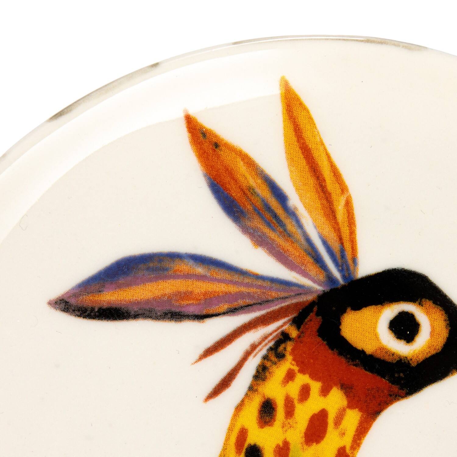 Hello Honey® 6" Animal Design Stoneware Plate, 8ct.