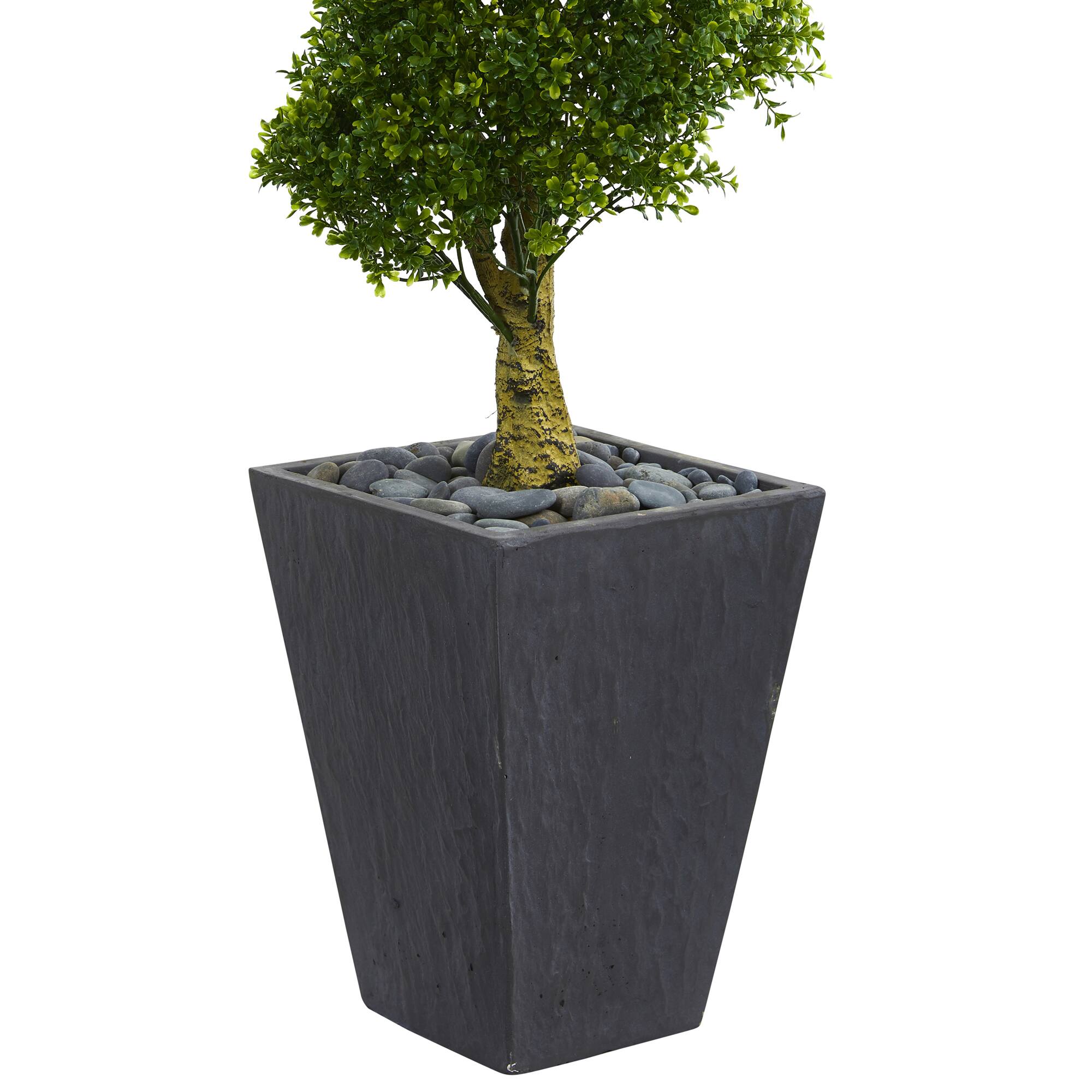 5ft. UV Resistant Boxwood Spiral Topiary Artificial Tree in Slate Planter