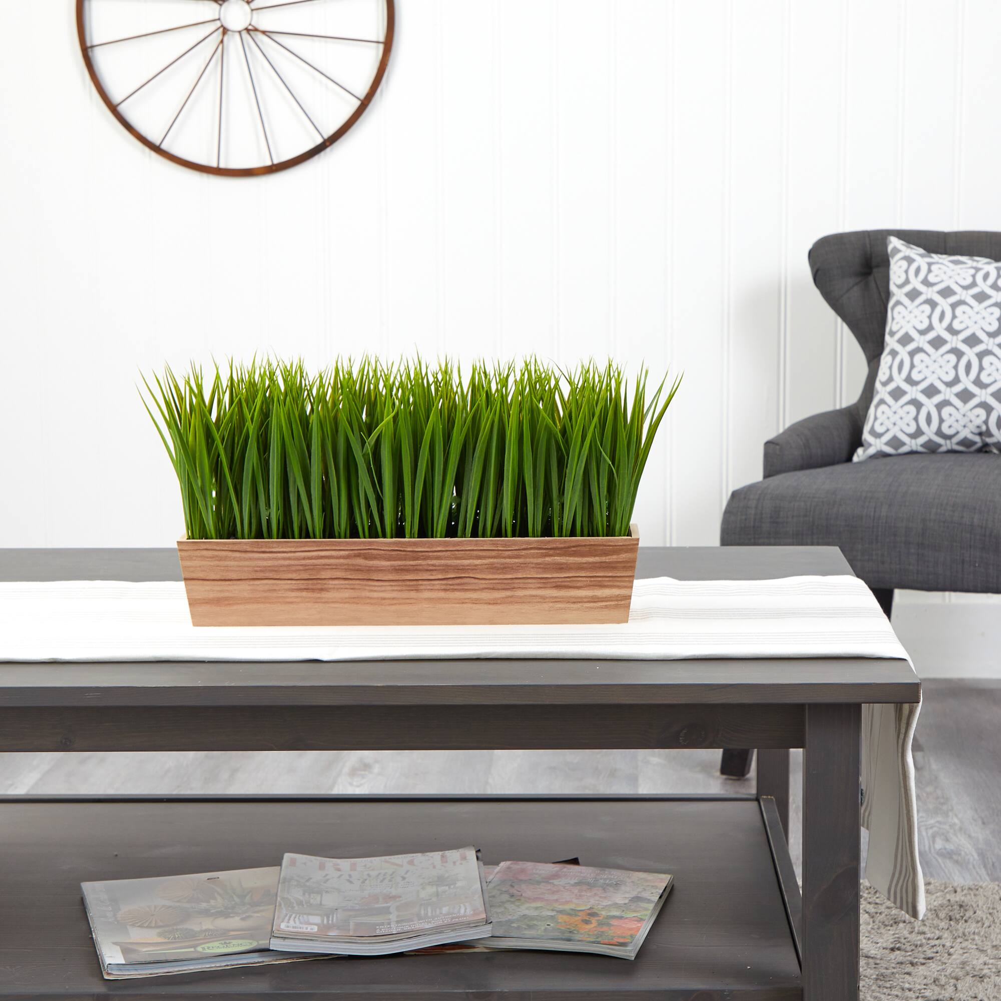 10&#x22; Vanilla Grass Plant in Decorative Planter