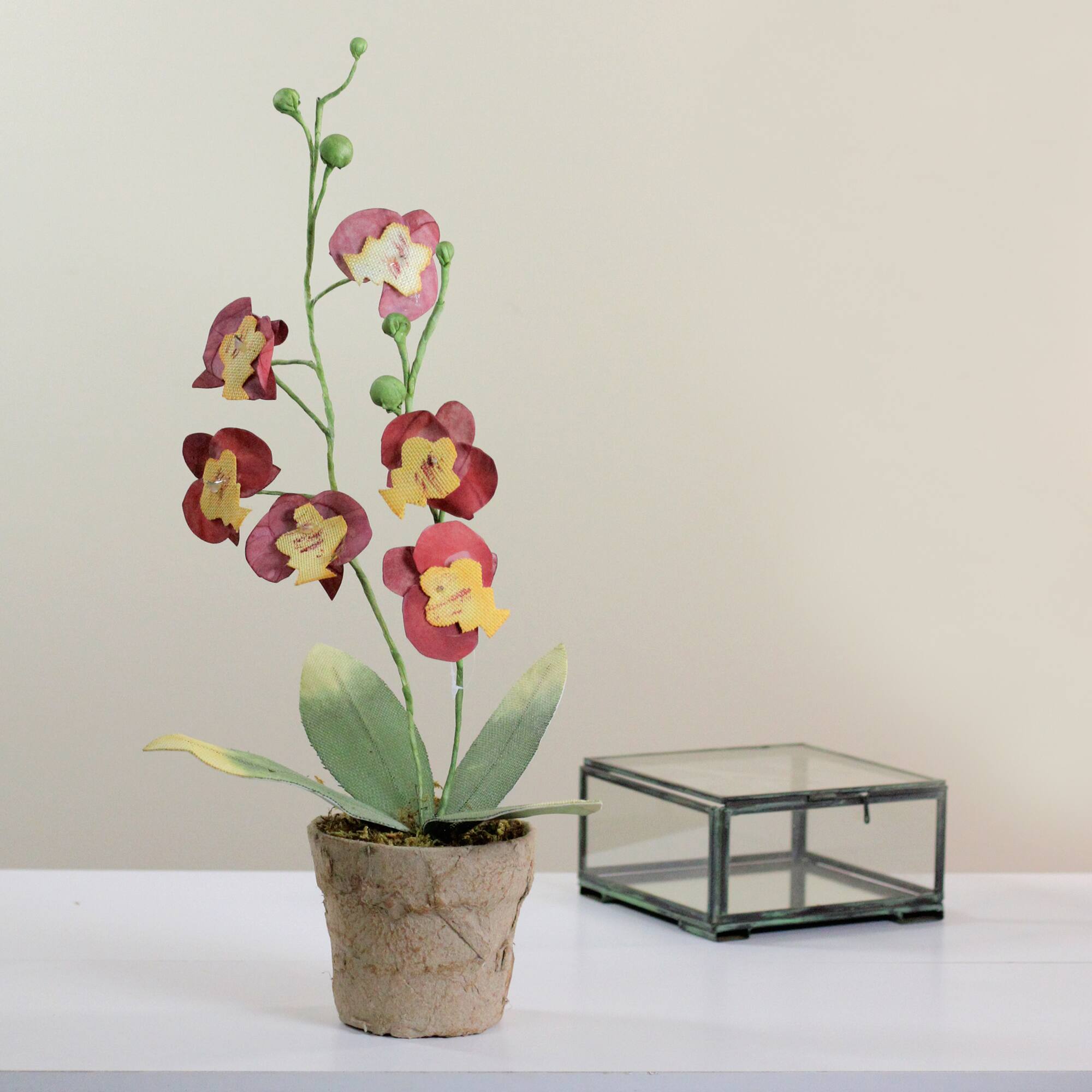 14" Crimson & Banana Yellow Potted Orchids