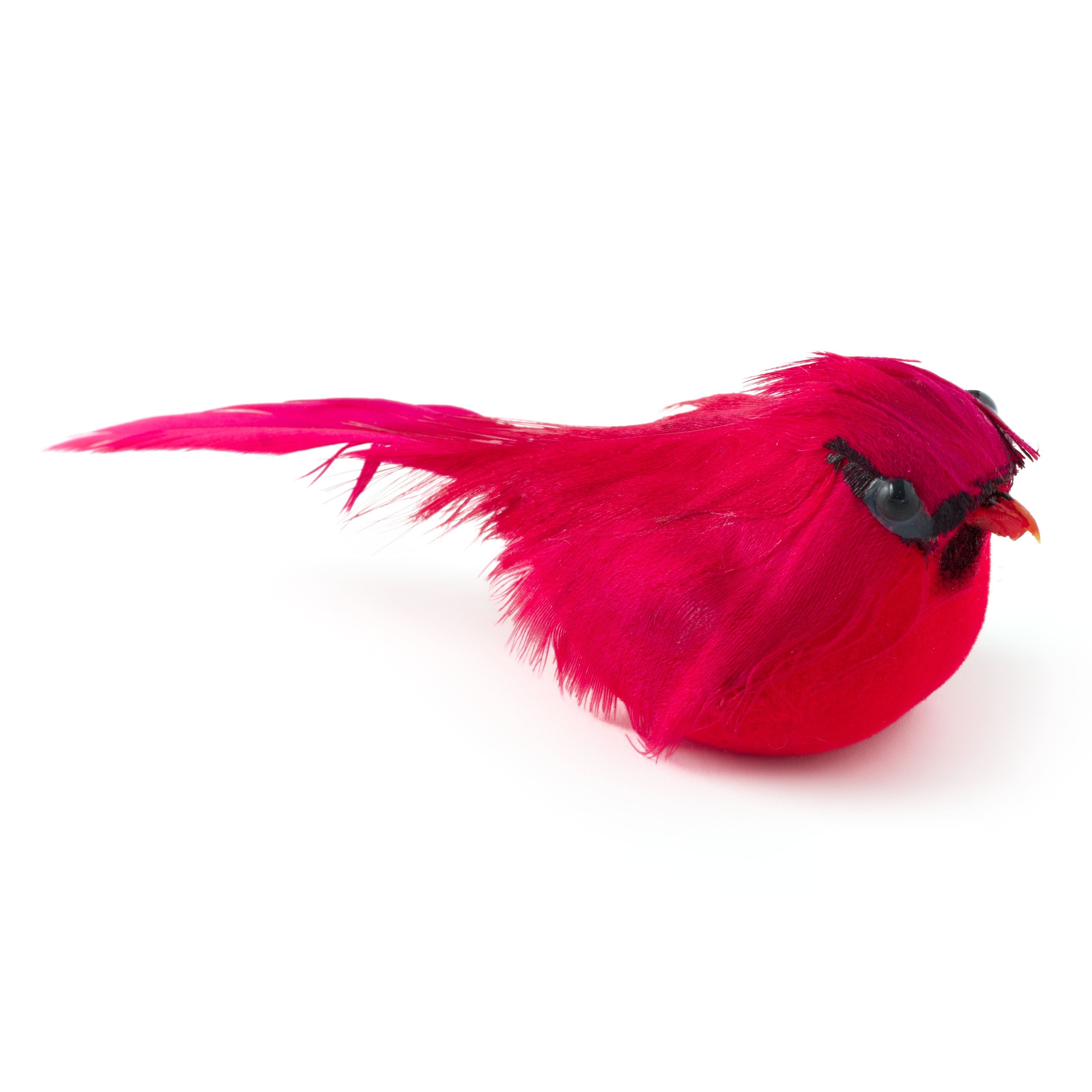 Small Cardinal Bird by Ashland&#xAE;
