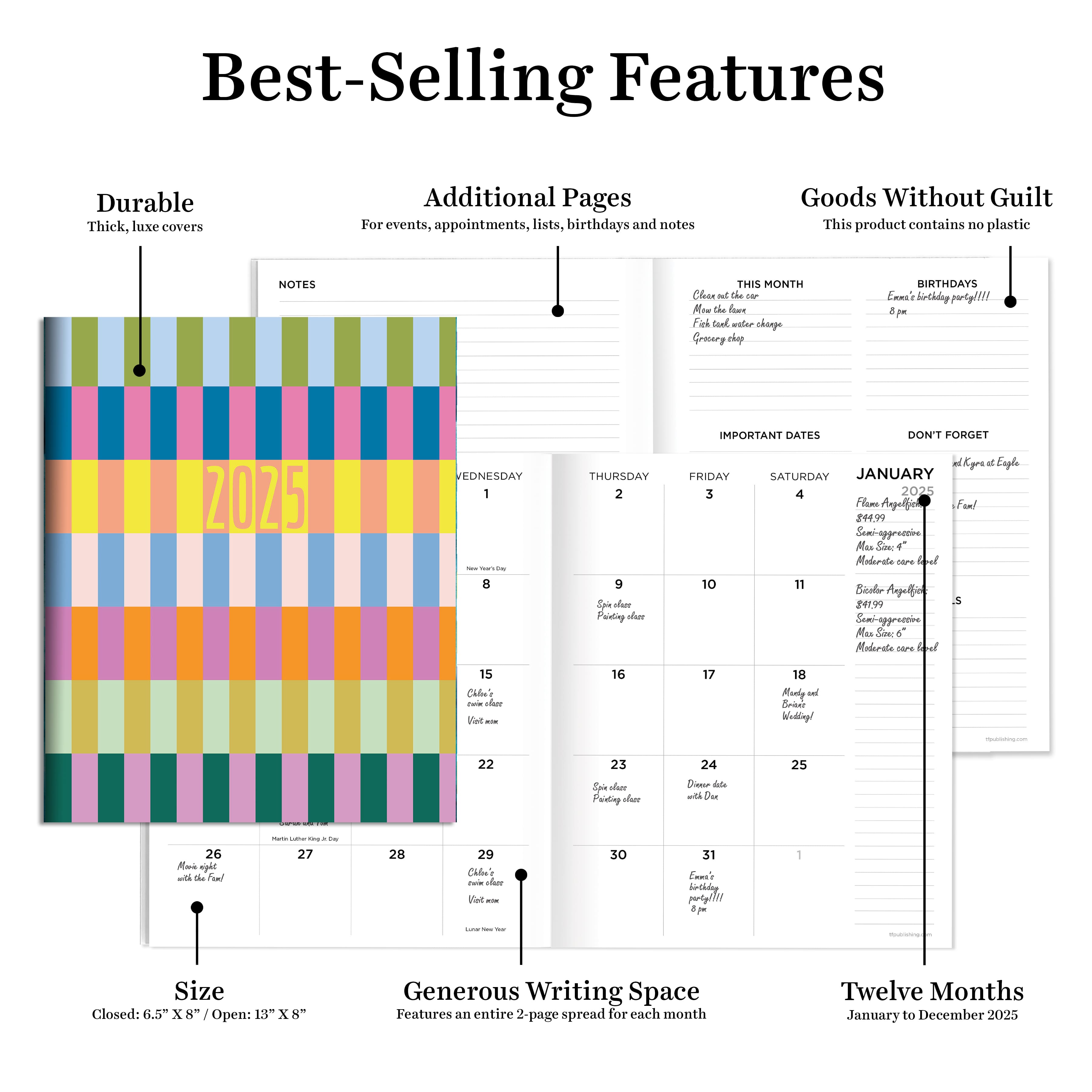 TF Publishing 2025 Color Stacks Medium Monthly Planner