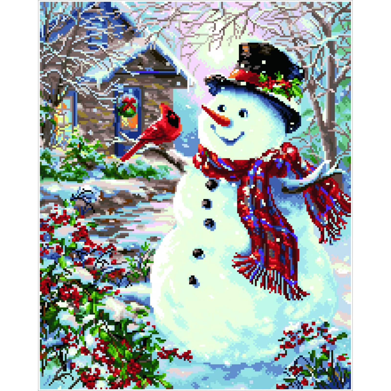 Diamond Dotz&#xAE; Intermediate Snowman &#x26; Feathered Friend Diamond Facet Art Kit