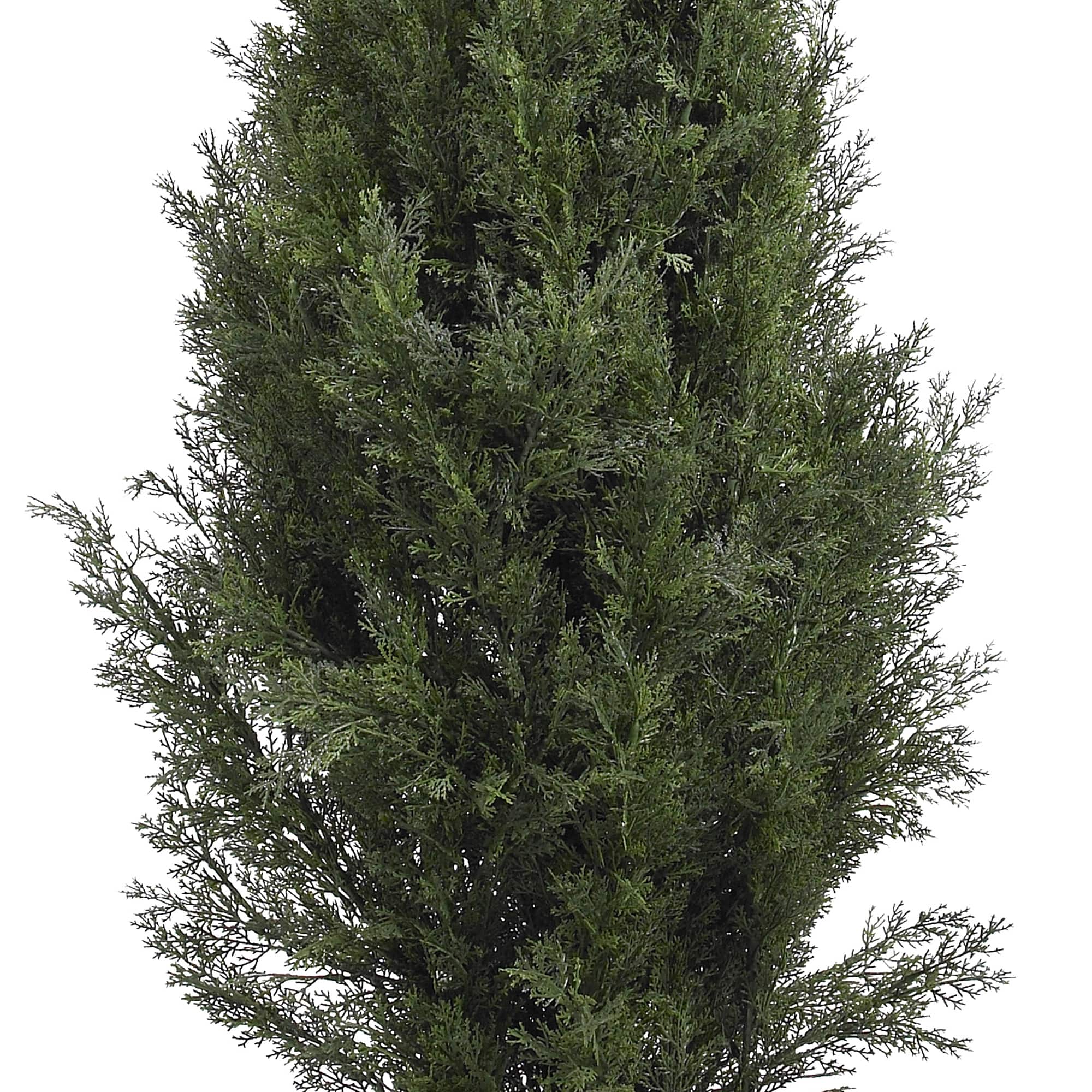 5ft. Cedar Pine Tree
