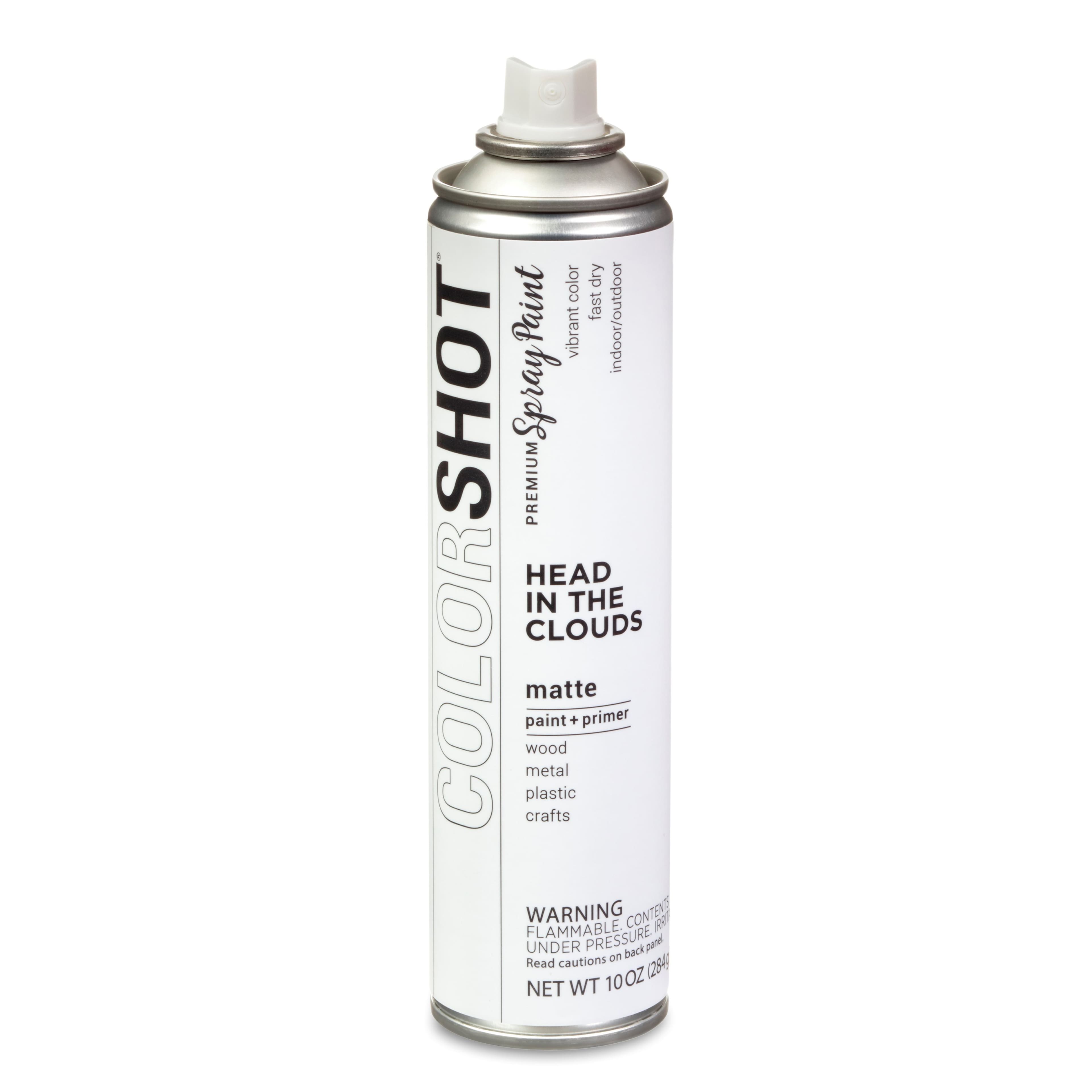 COLORSHOT® Head In the Clouds Matte Spray Paint