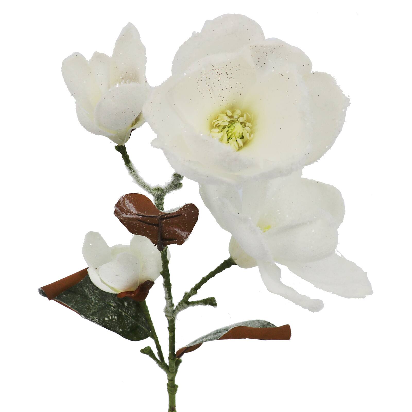 Tige de magnolia blanc neige de 76,2&#xA0;cm d&#x2019;Ashland