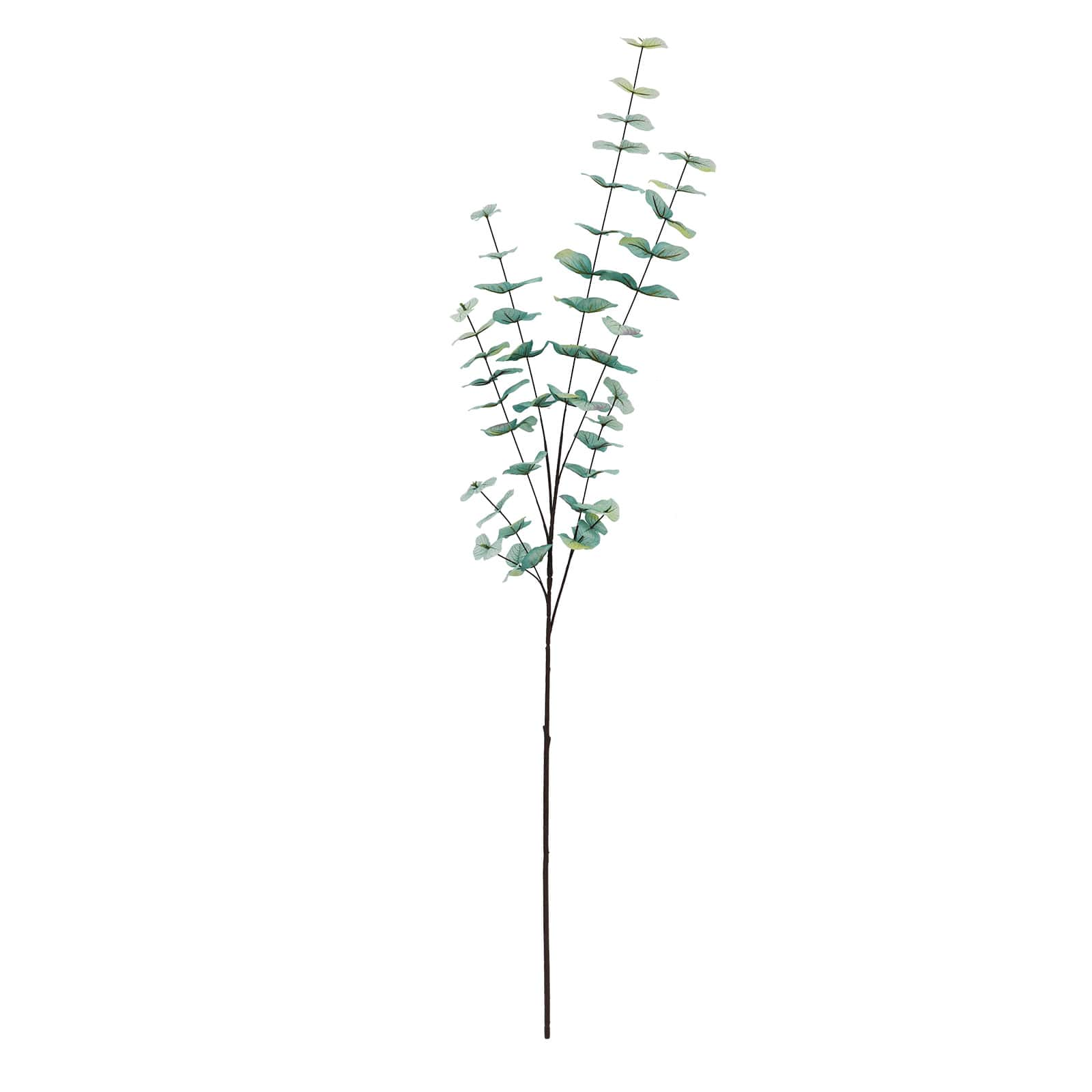 Light Blue Eucalyptus Stem by Ashland® | Michaels