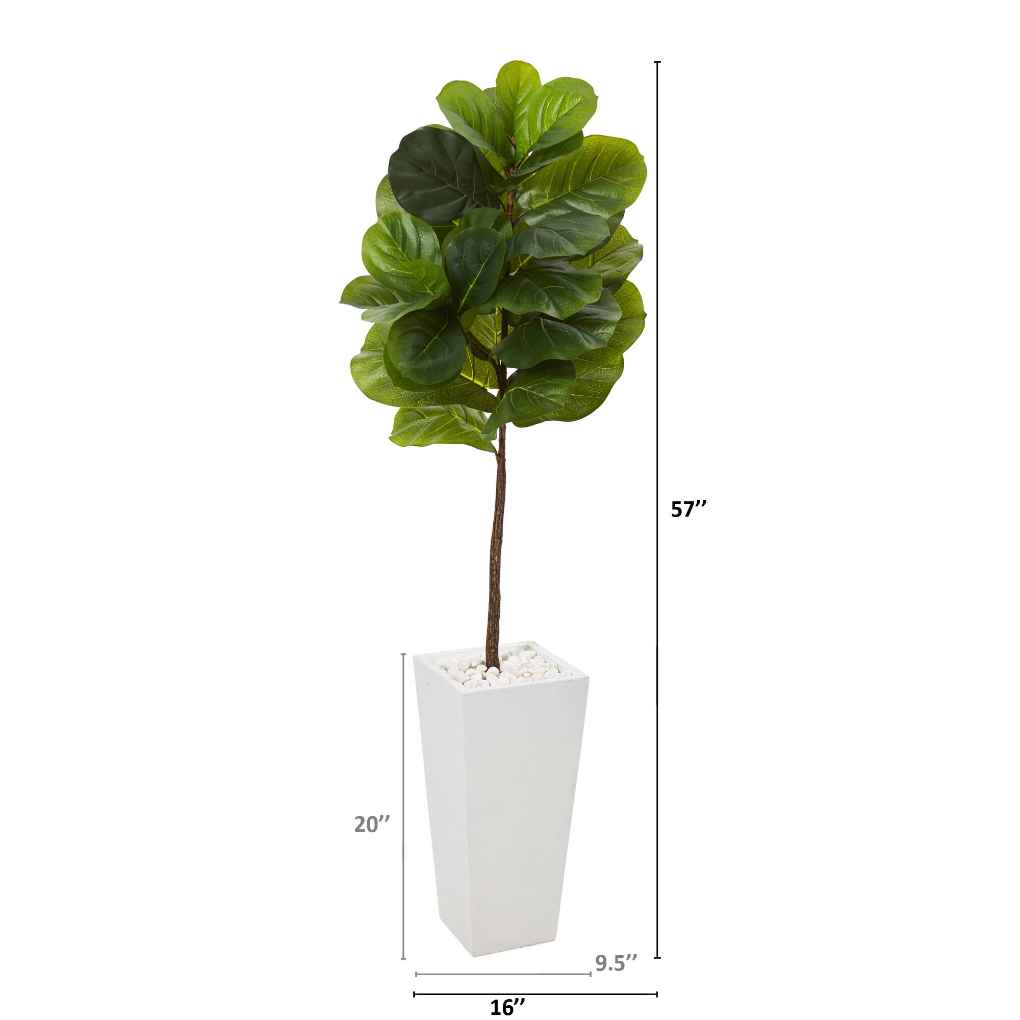 4.7ft. Fiddle Leaf Tree in White Planter