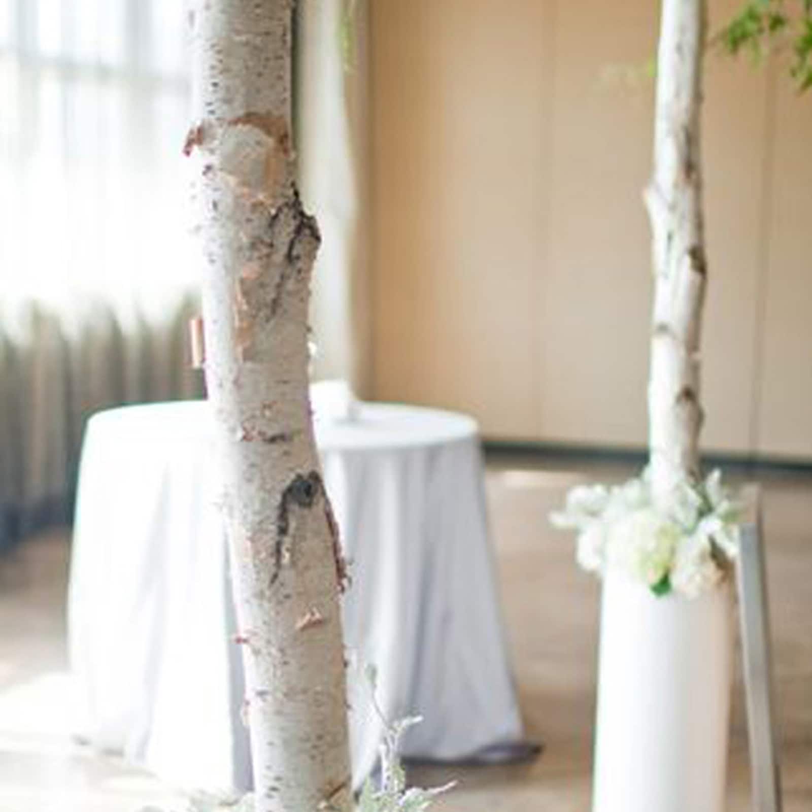 Wilson&#xAE; Enterprises White Birch Poles