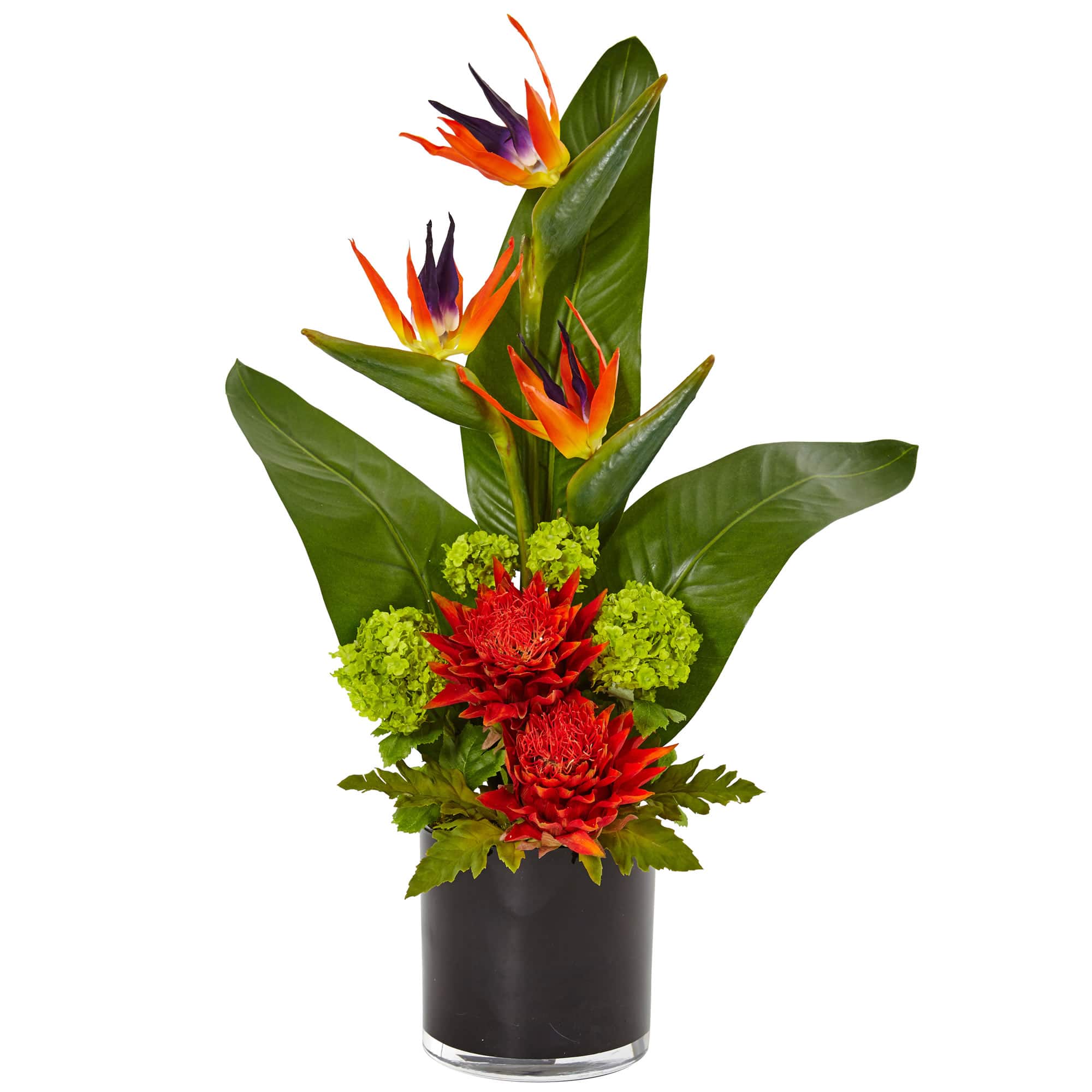 2ft. Bird of Paradise Arrangement in Black Vase