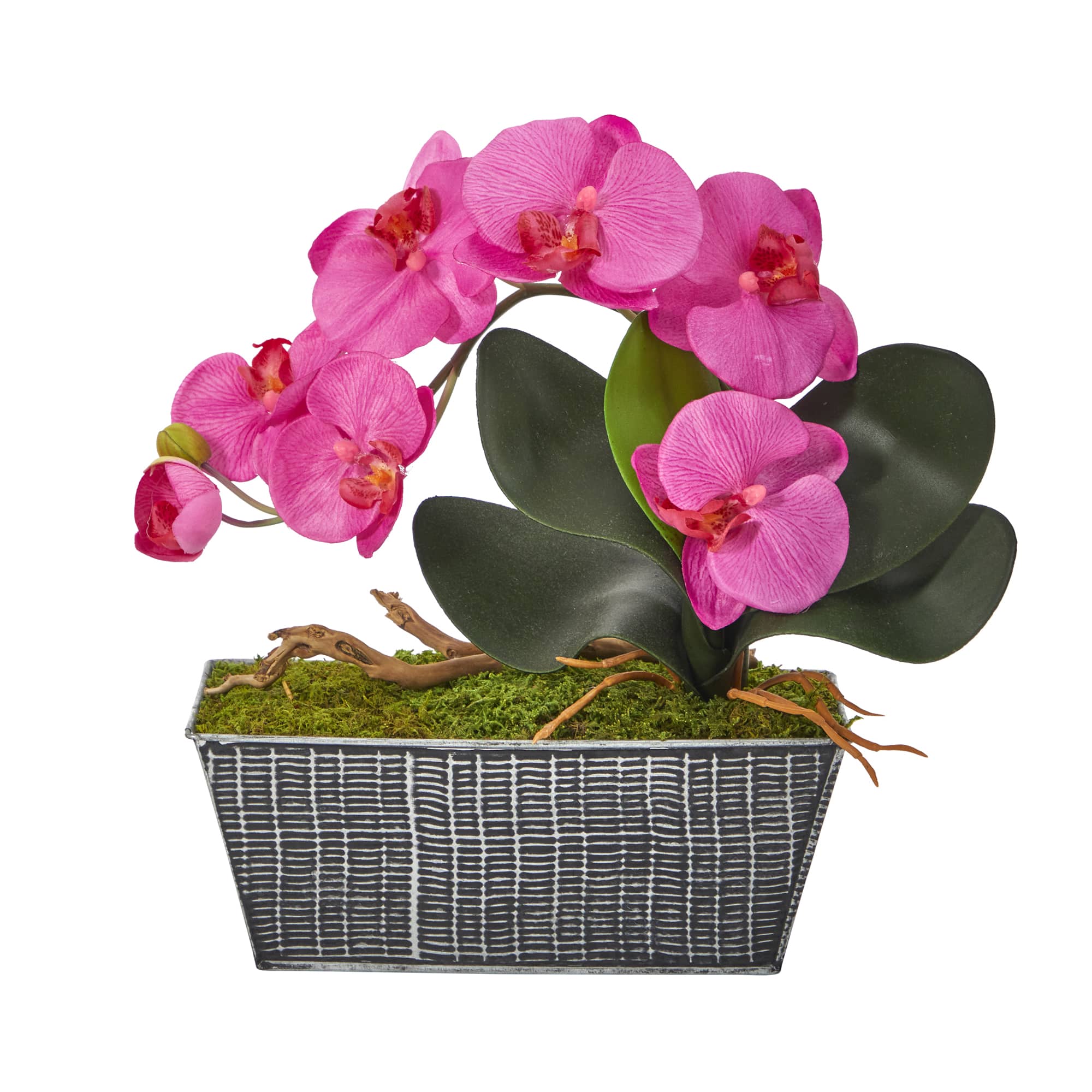 13&#x22; Phalaenopsis Orchid Artificial Arrangement in Embossed Tin Vase