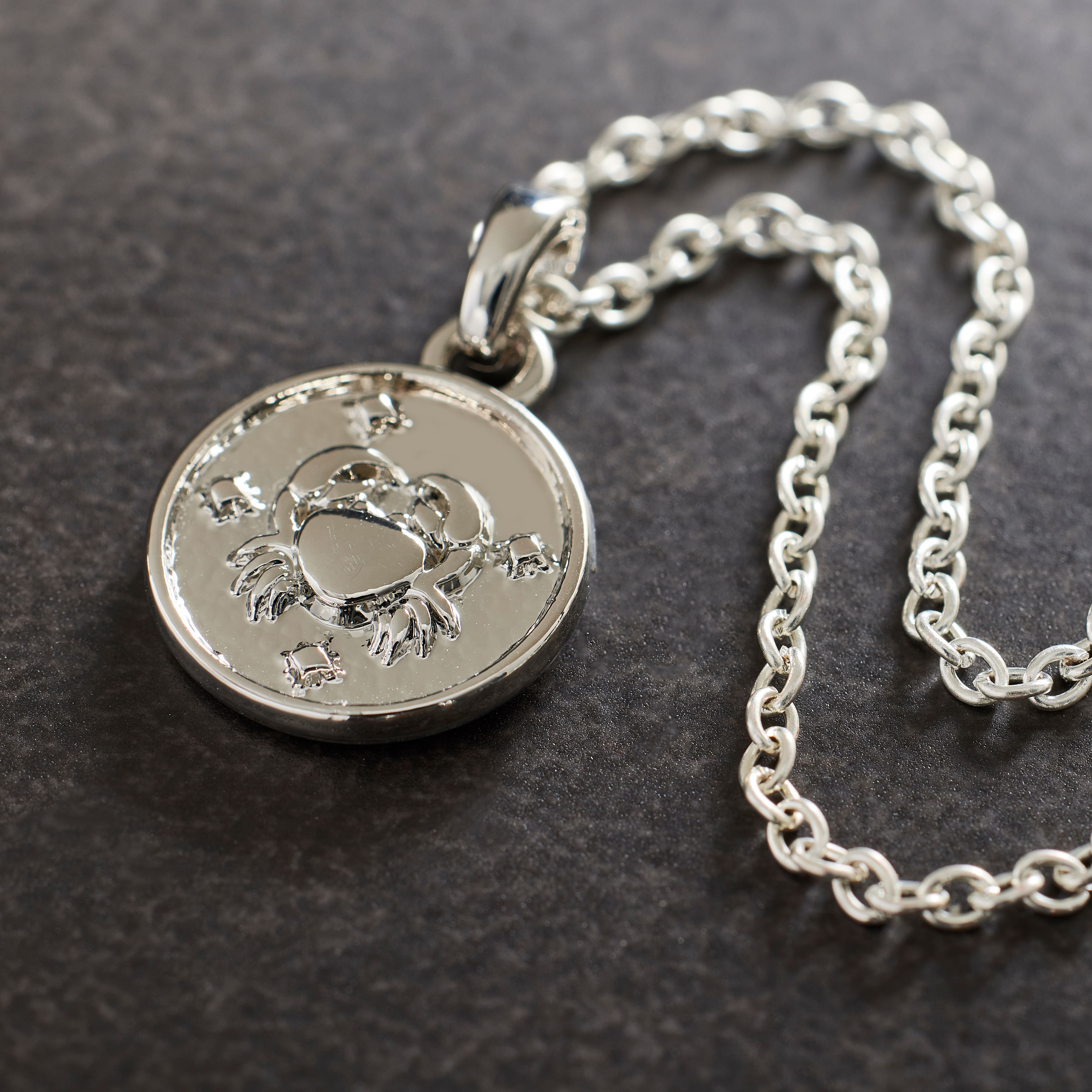 12 Pack: Metal Zodiac Coin Charm by Bead Landing™