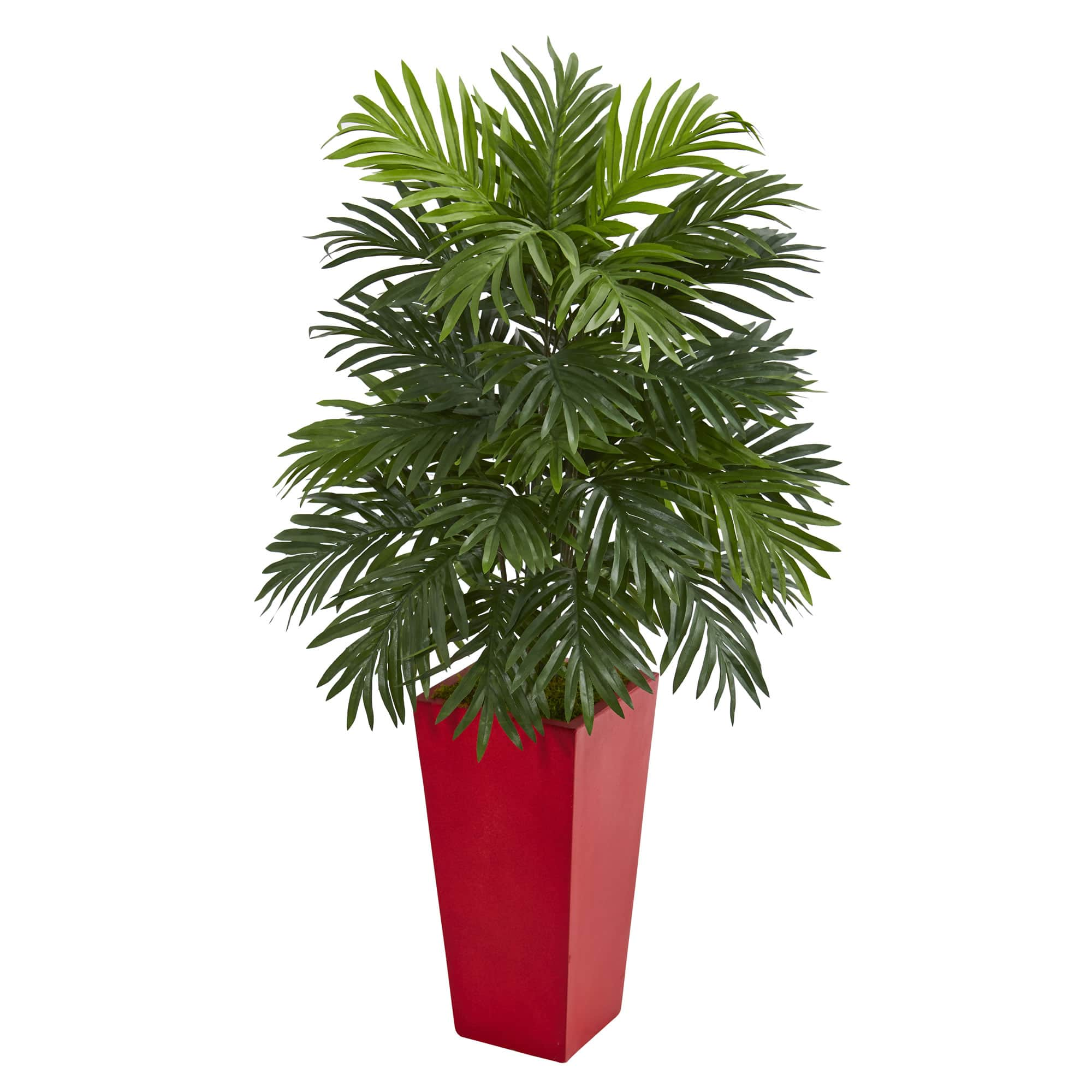 3.3ft. Areca Palm Plant in Red Planter