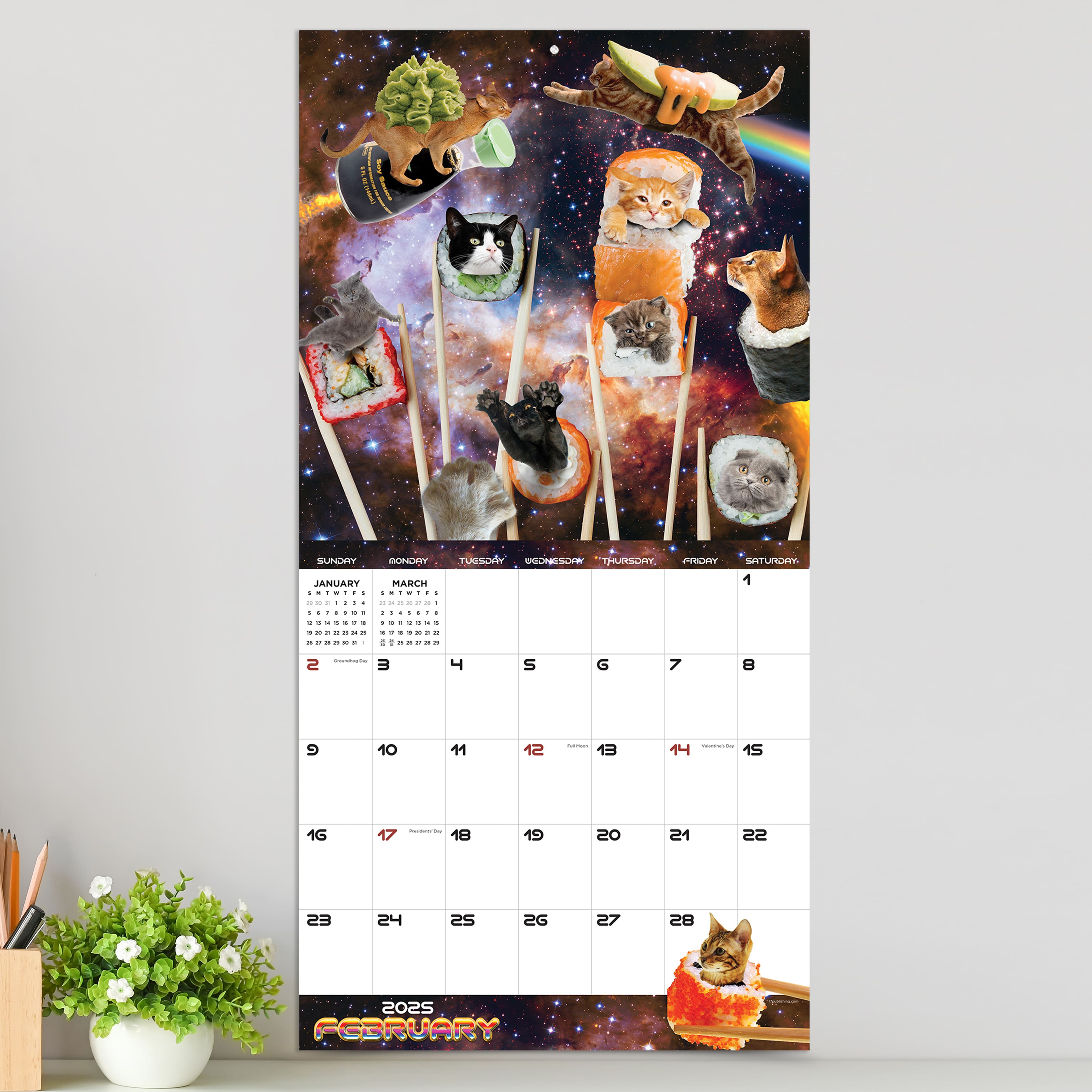 TF Publishing 2025 Space Cats Wall Calendar