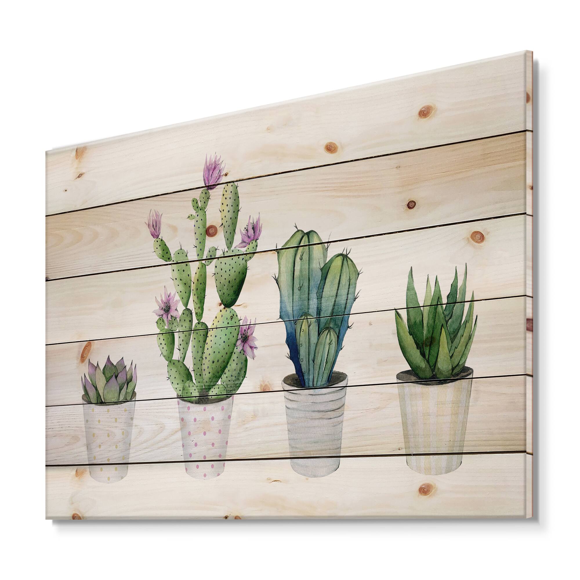 Designart - Cactus Succulent Aloe Vera Home Plants In The Pots - Botanical Print on Natural Pine Wood