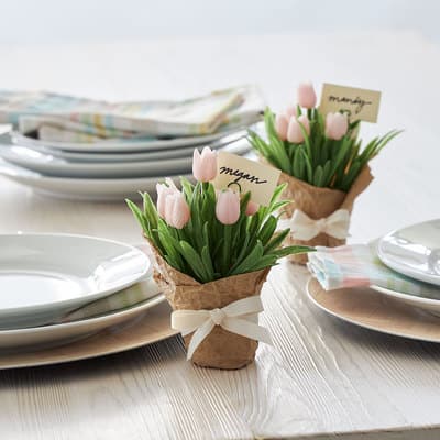 Spring Romance Potted Tulip Placeholder